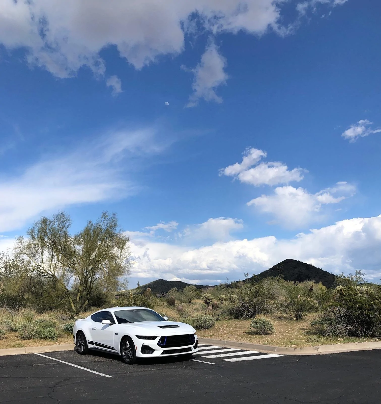 S650 Mustang Official OXFORD WHITE Mustang S650 Thread IMG_5273