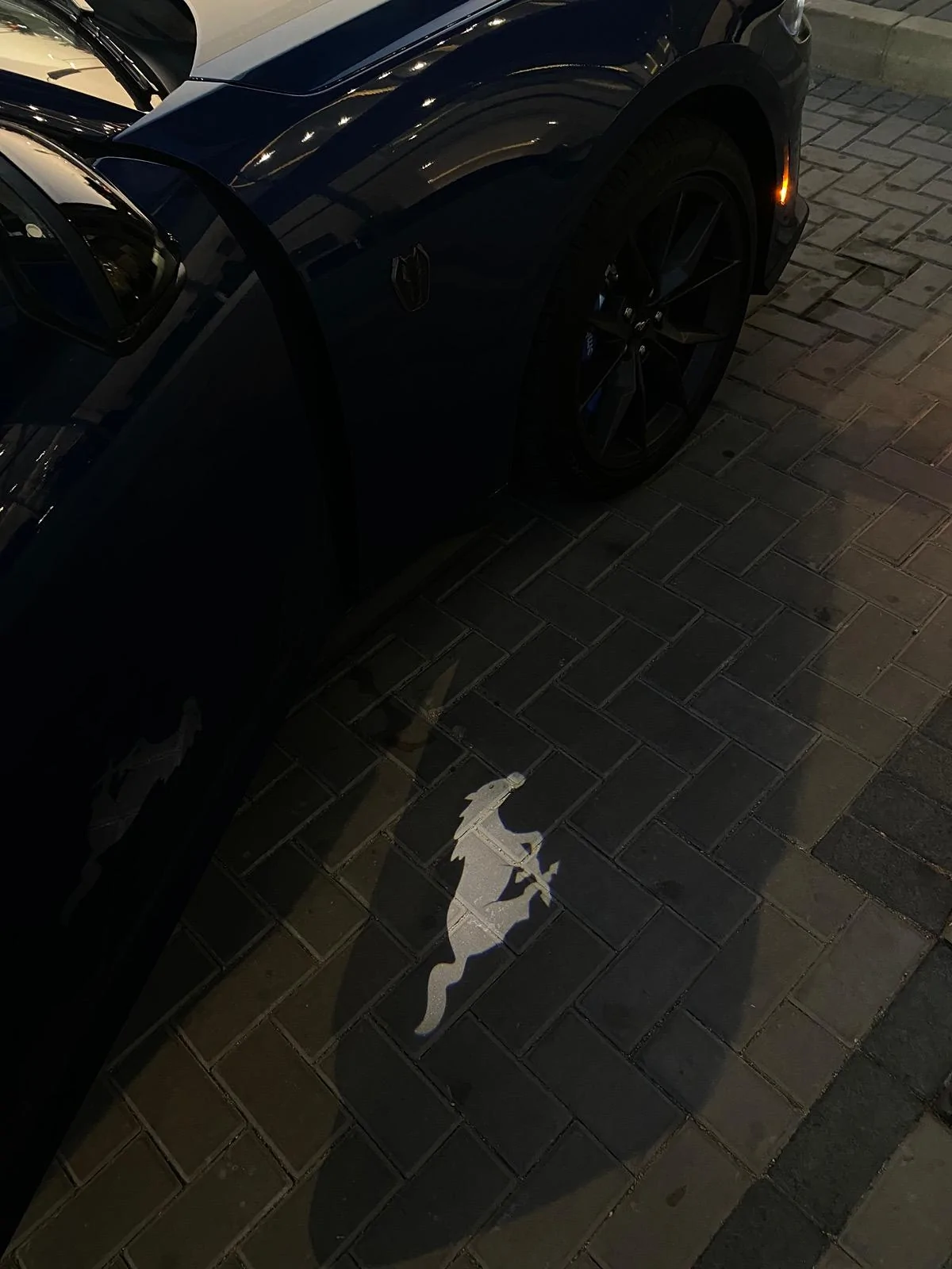 S650 Mustang Dark horse Puddle Lamps IMG_0110
