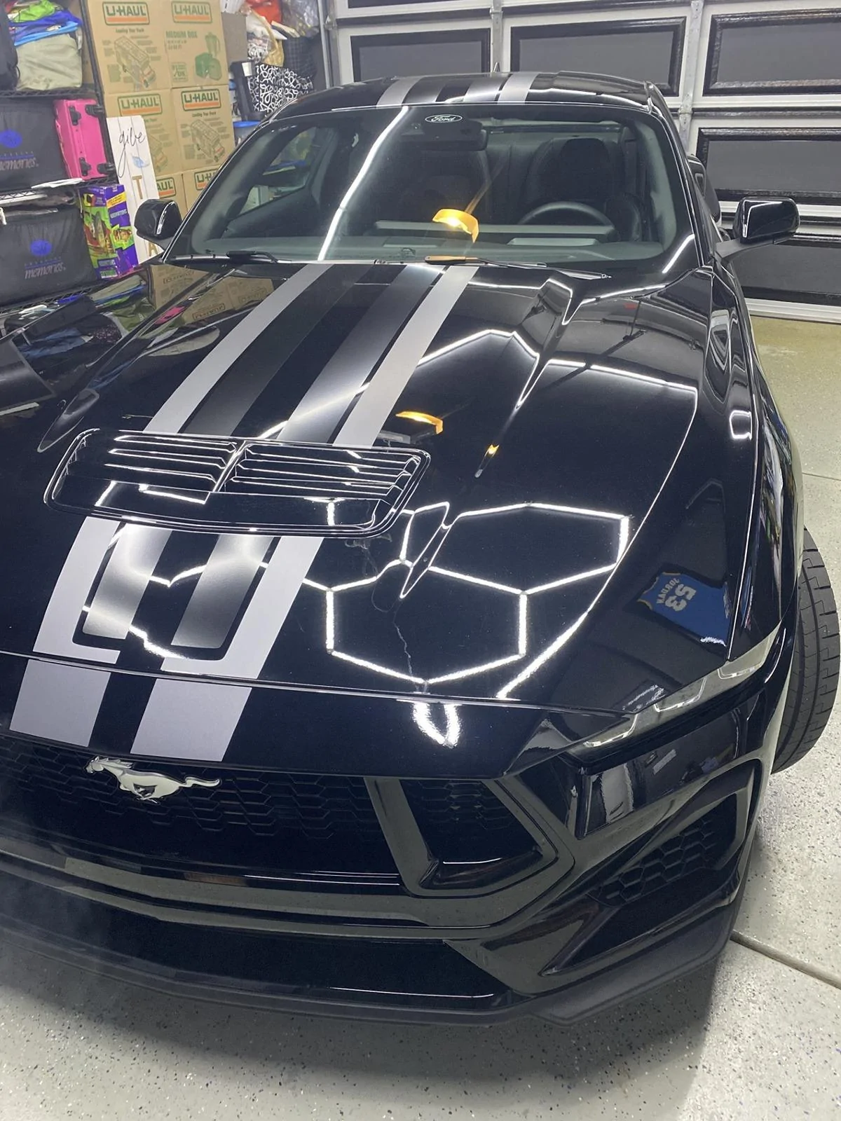 S650 Mustang Color Poll thumbnail_73190326522__9241E3CA-C31B-46A8-B011-9CE56923746C