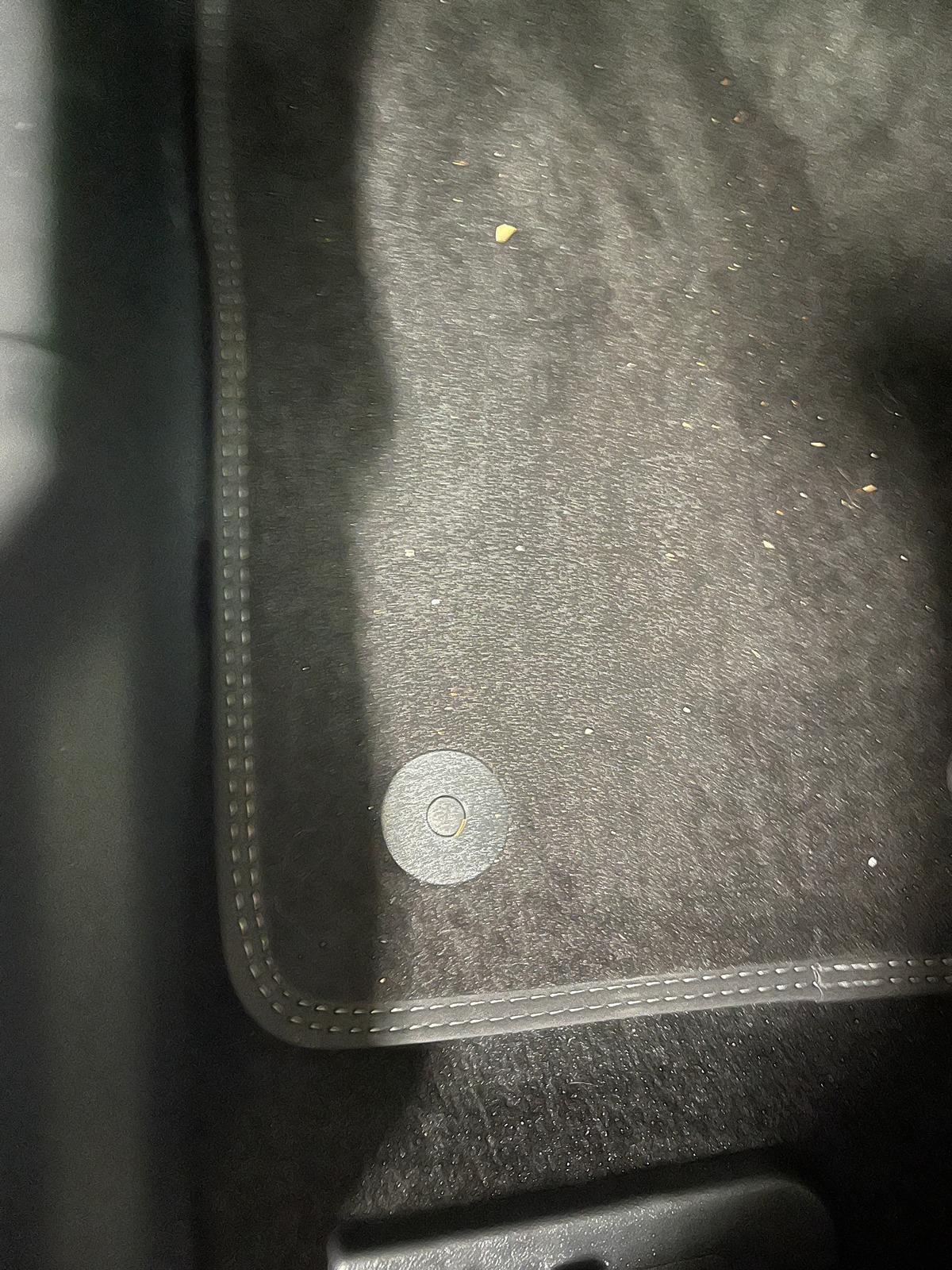 S650 Mustang High end Ford floor mats? IMG_2089.JPG