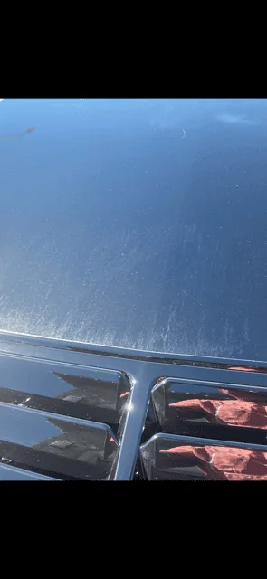 S650 Mustang Opinions or knowledge of PPF and Ceramic Coatings IMG_6878