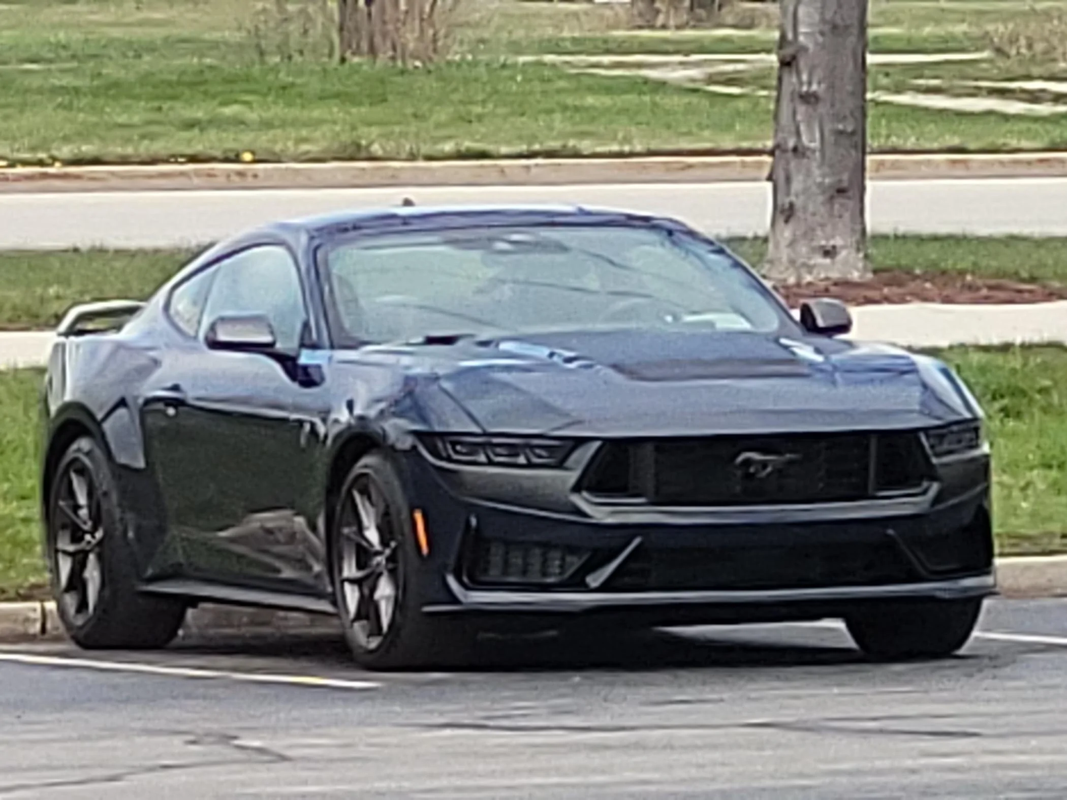 S650 Mustang What Color is Blue Ember 20240330_150116