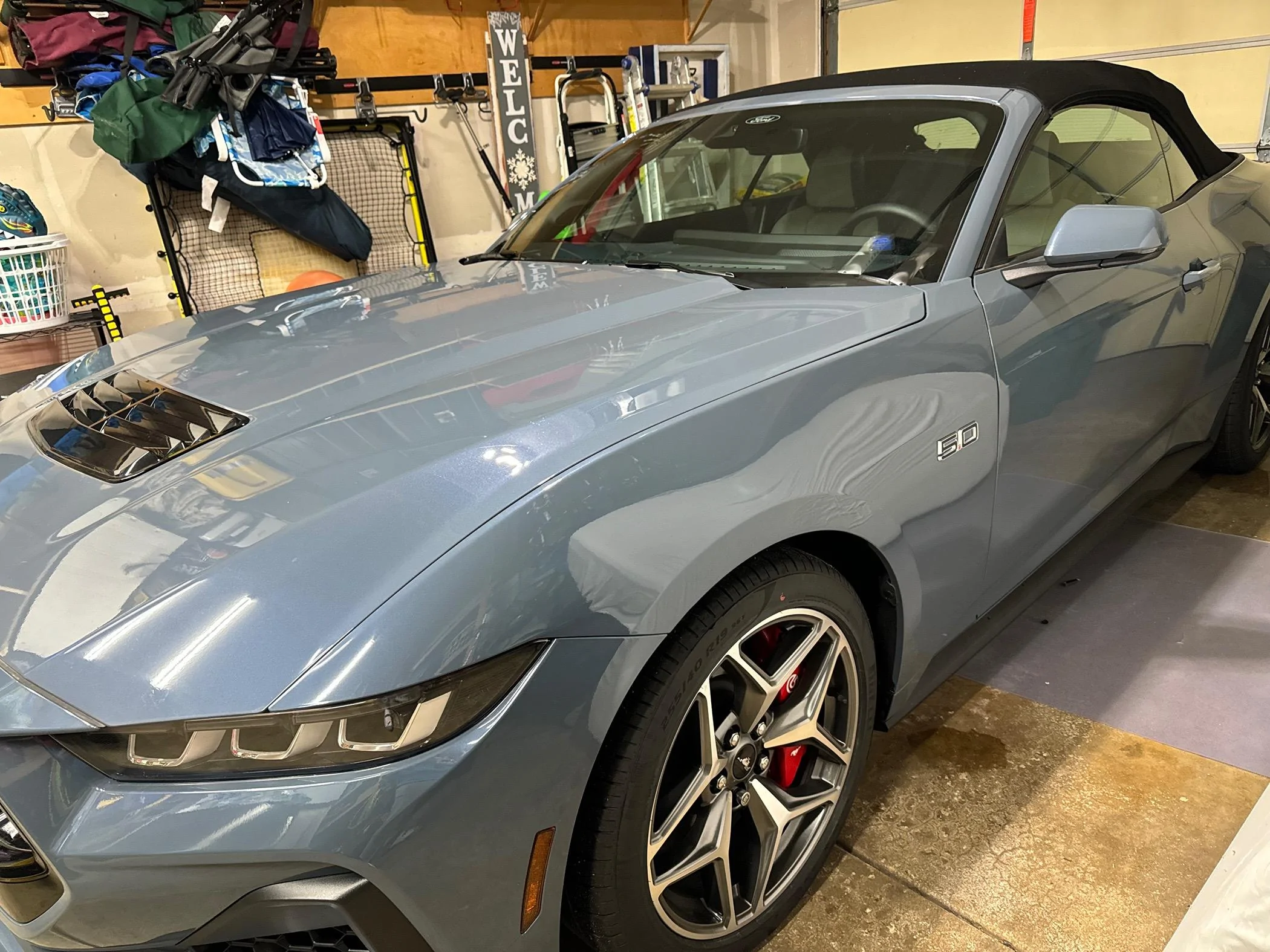 S650 Mustang Introductions & Welcome Thread 👋 IMG_4791