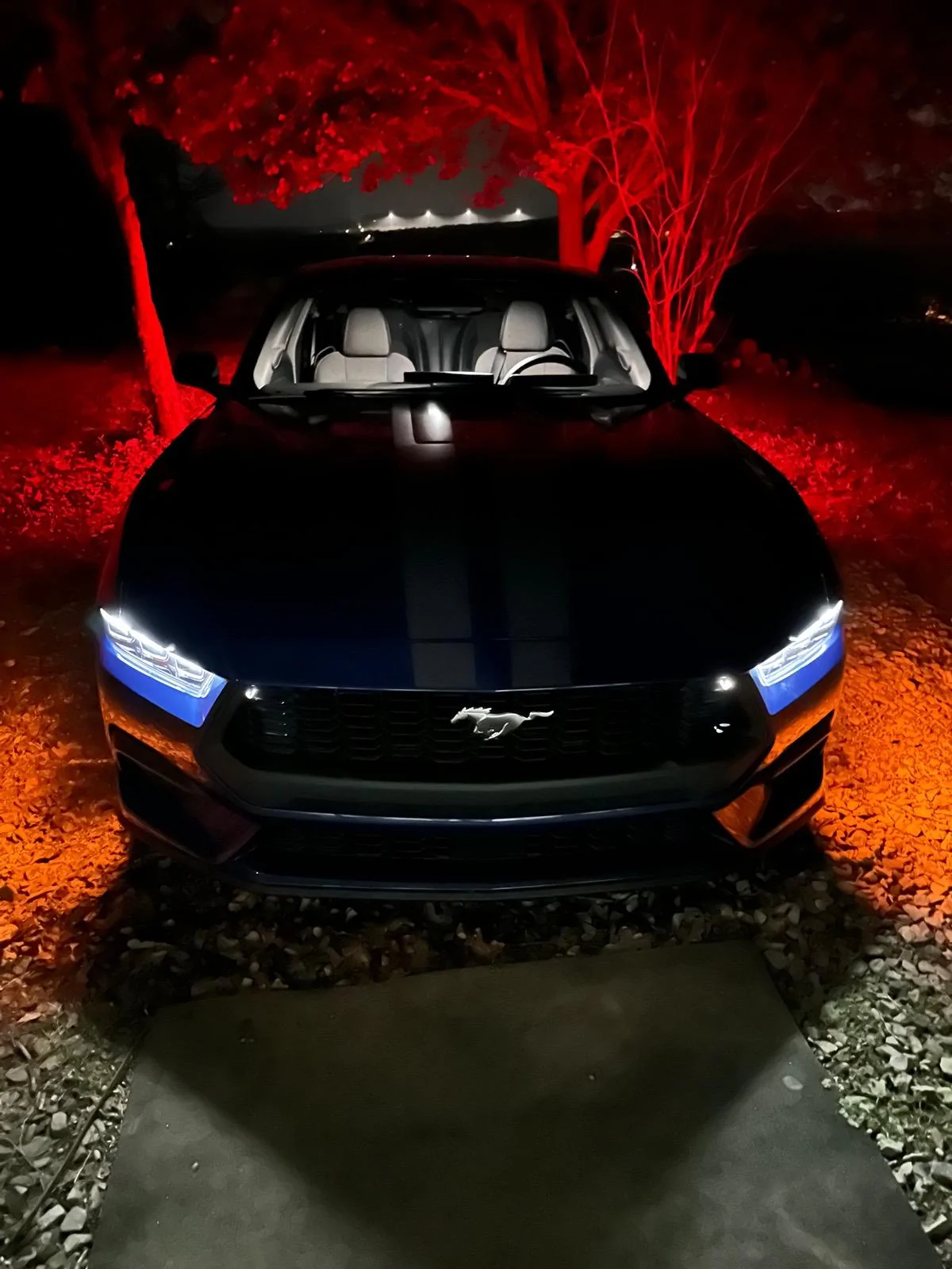 S650 Mustang Official ATLAS BLUE Mustang S650 Thread IMG_1164