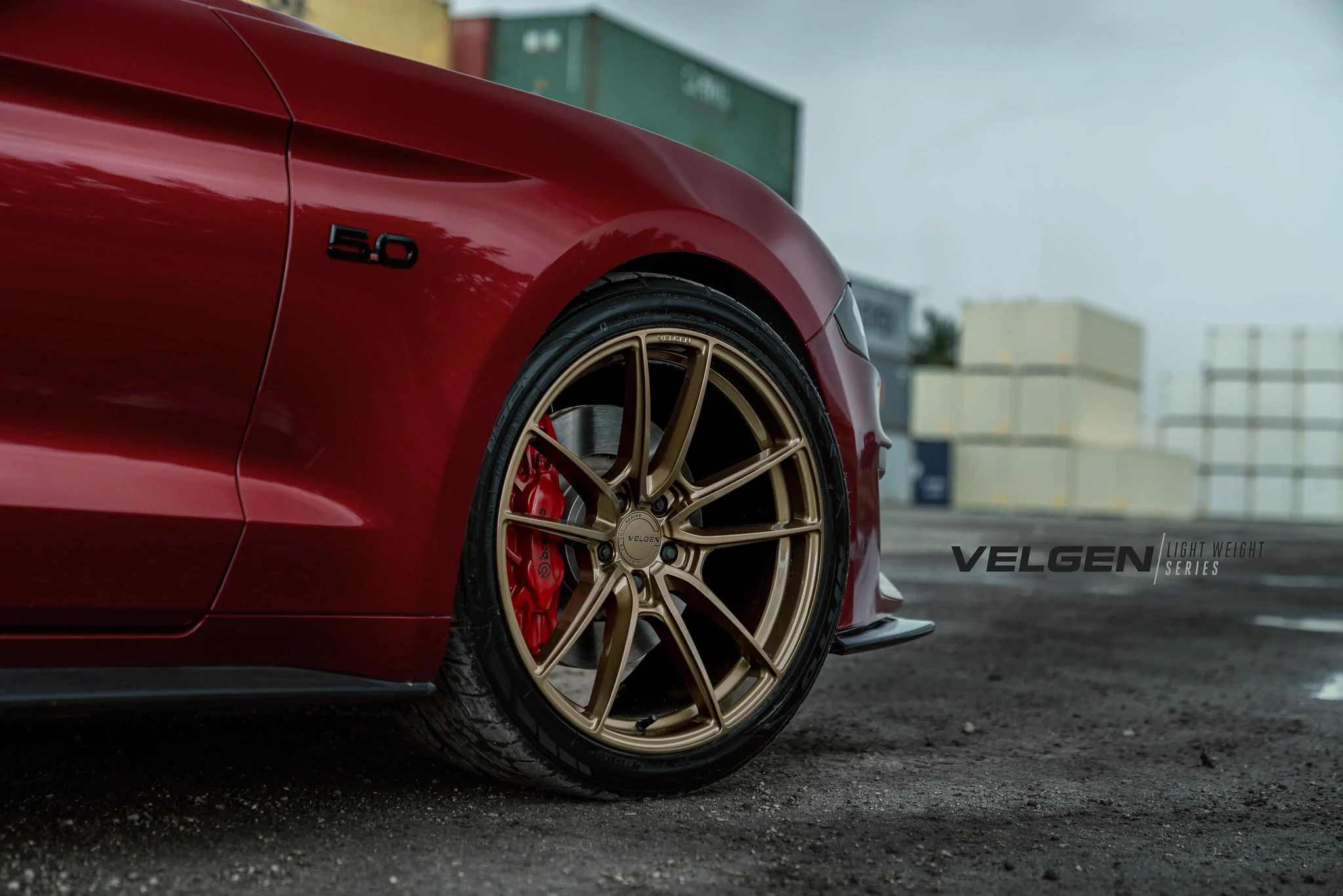 S650 Mustang Mustang GT on 19" VELGEN VF5 Wheels 48678895502_aa5eb4bad6_k