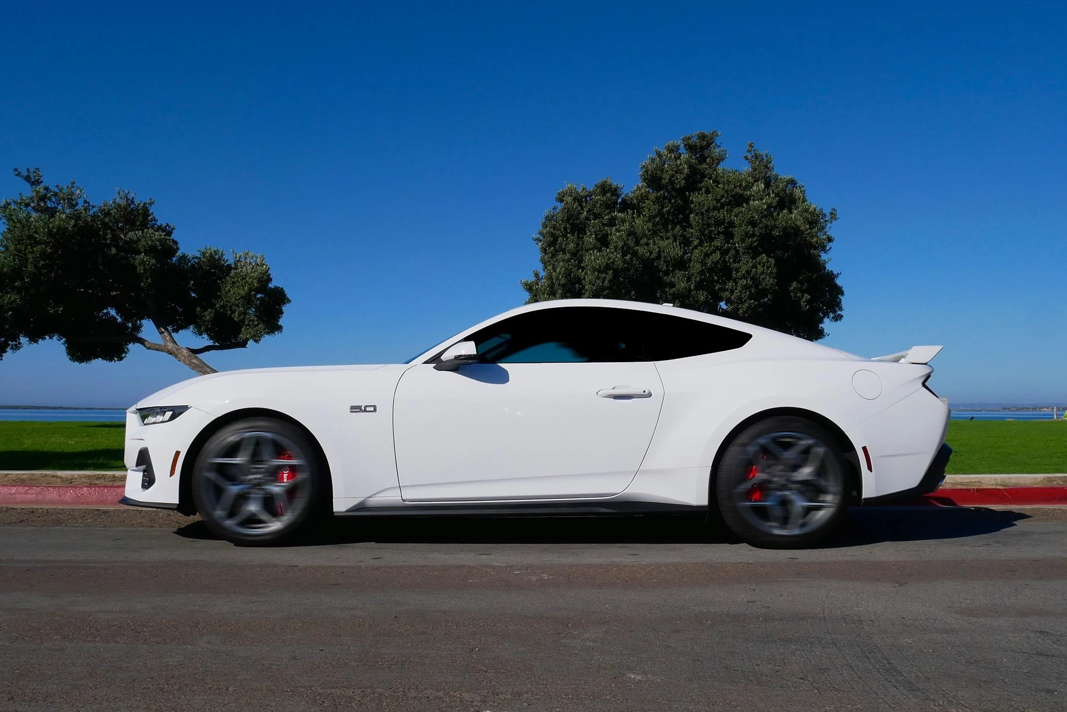 S650 Mustang Share your Fav S650 shot Racing Into the Weekend