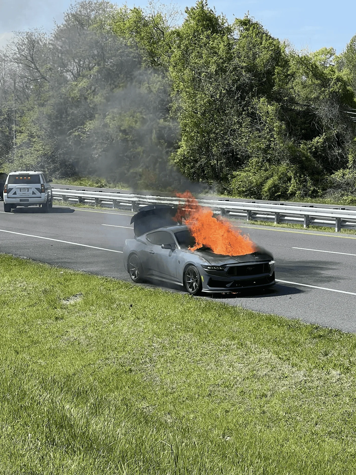 S650 Mustang Dark Horse on fire and burns down (from stuck clutch) 1713484525944-png