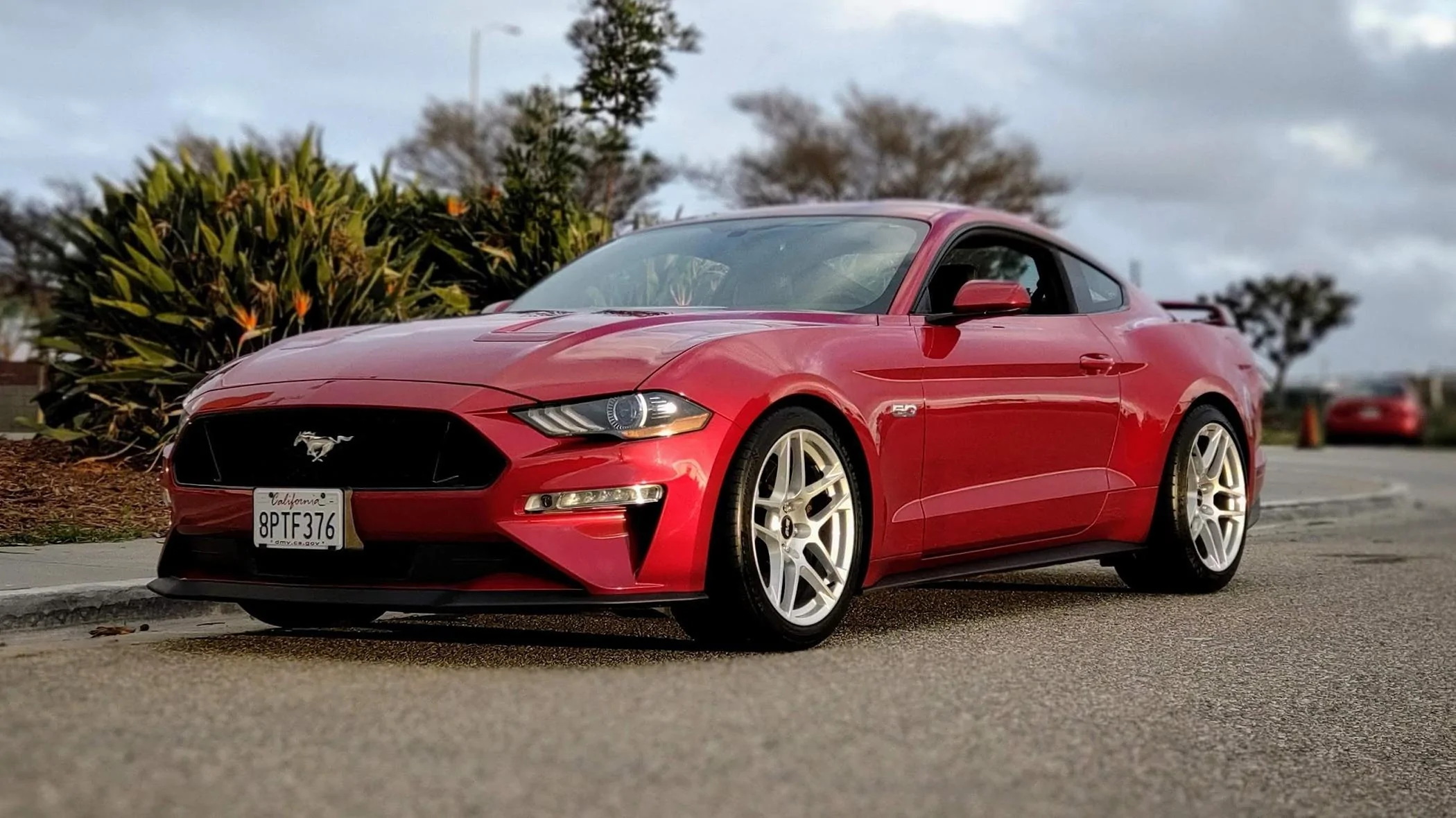 S650 Mustang Dark Horse-Non Handling-Wheel Setup-Opinion IMG_20220319_183508116_HDR_PORTRAIT~2