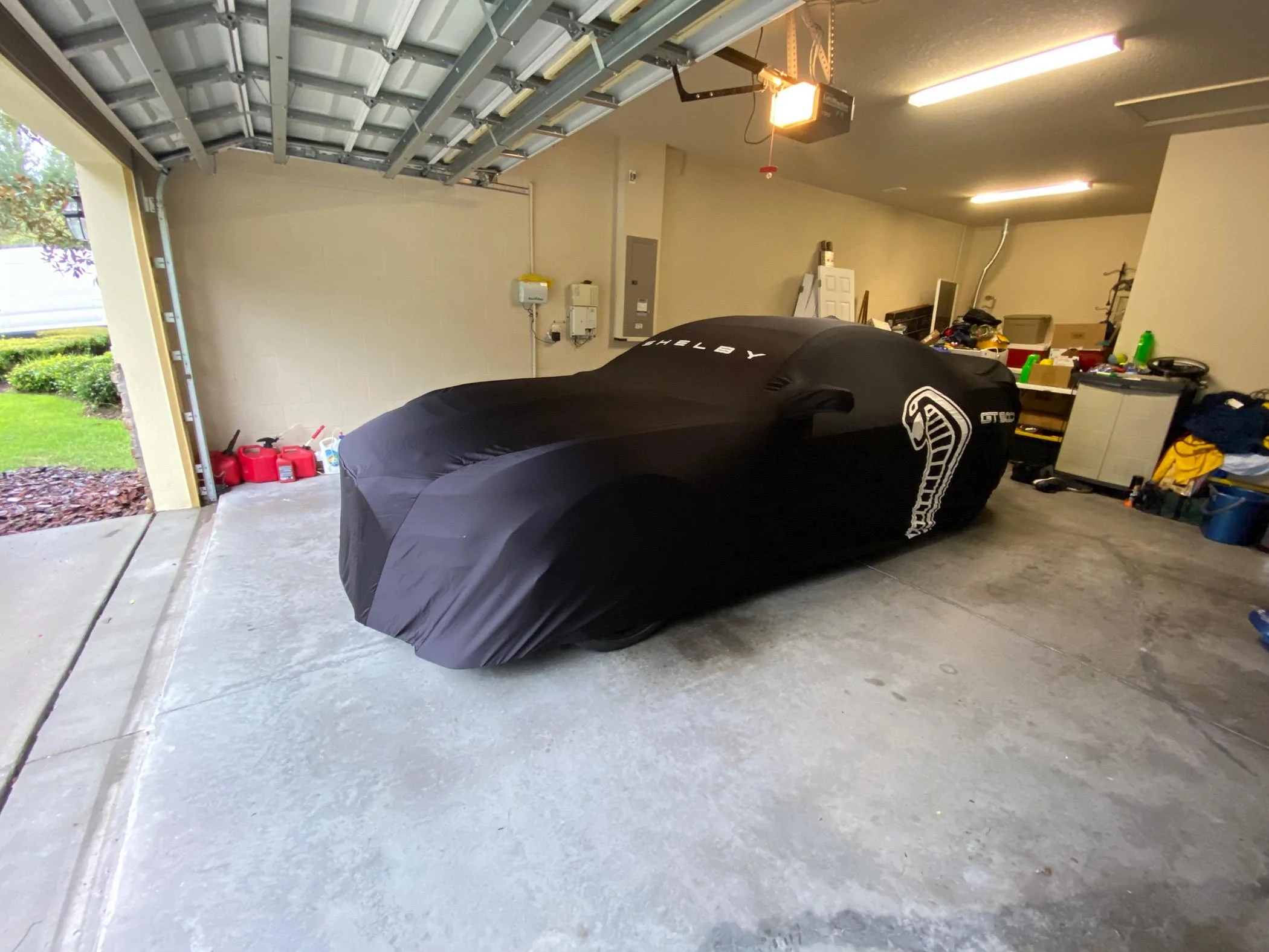 S650 Mustang Blue outdoor cover for the Dark Horse now updated with photos IMG_9451