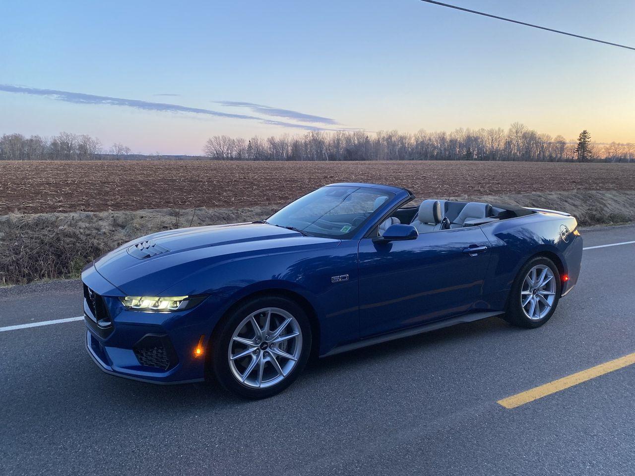 S650 Mustang Can I just say I'm really loving this car! IMG_3763