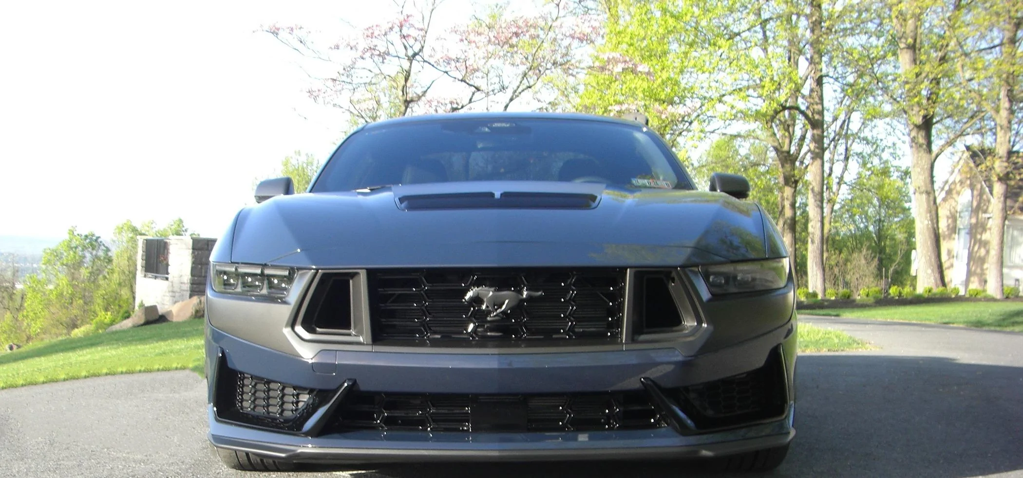 S650 Mustang Official BLUE EMBER Mustang S650 Thread CIMG3655