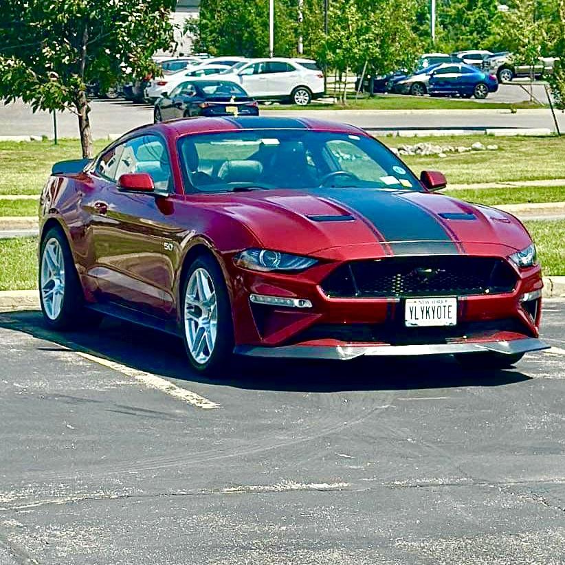 S650 Mustang From This to That S650 (Photos Edition) IMG_0474