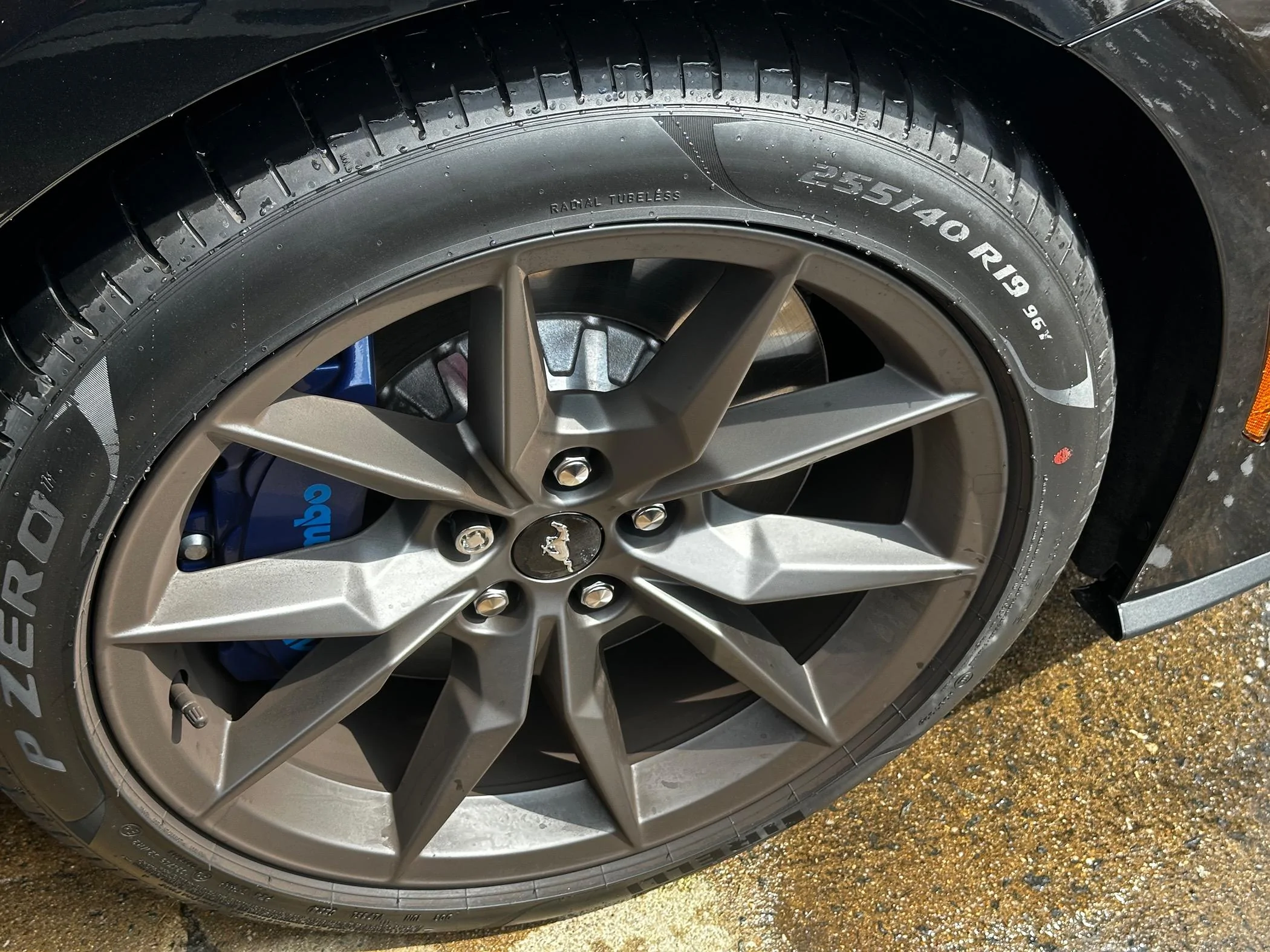 S650 Mustang $1350 Dark Horse Wheels Tires 275 miles IMG_0805