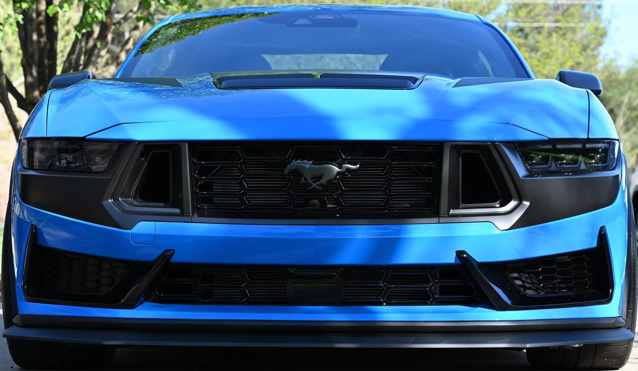 S650 Mustang Official GRABBER BLUE Mustang S650 Thread dh3