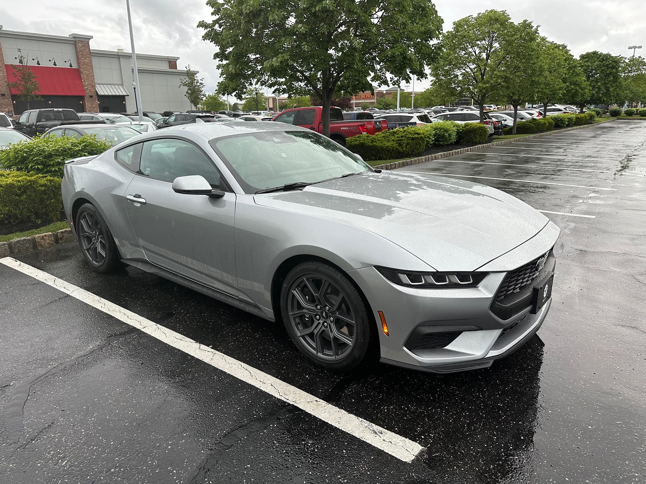 S650 Mustang Can you believe my crappy luck?!?! (but damn good dealership!) IMG_6281