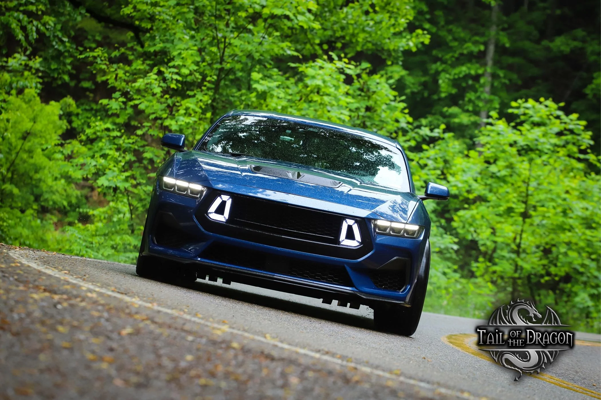 S650 Mustang Tail of the Dragon w/ 2024 Mustang GT 4451505