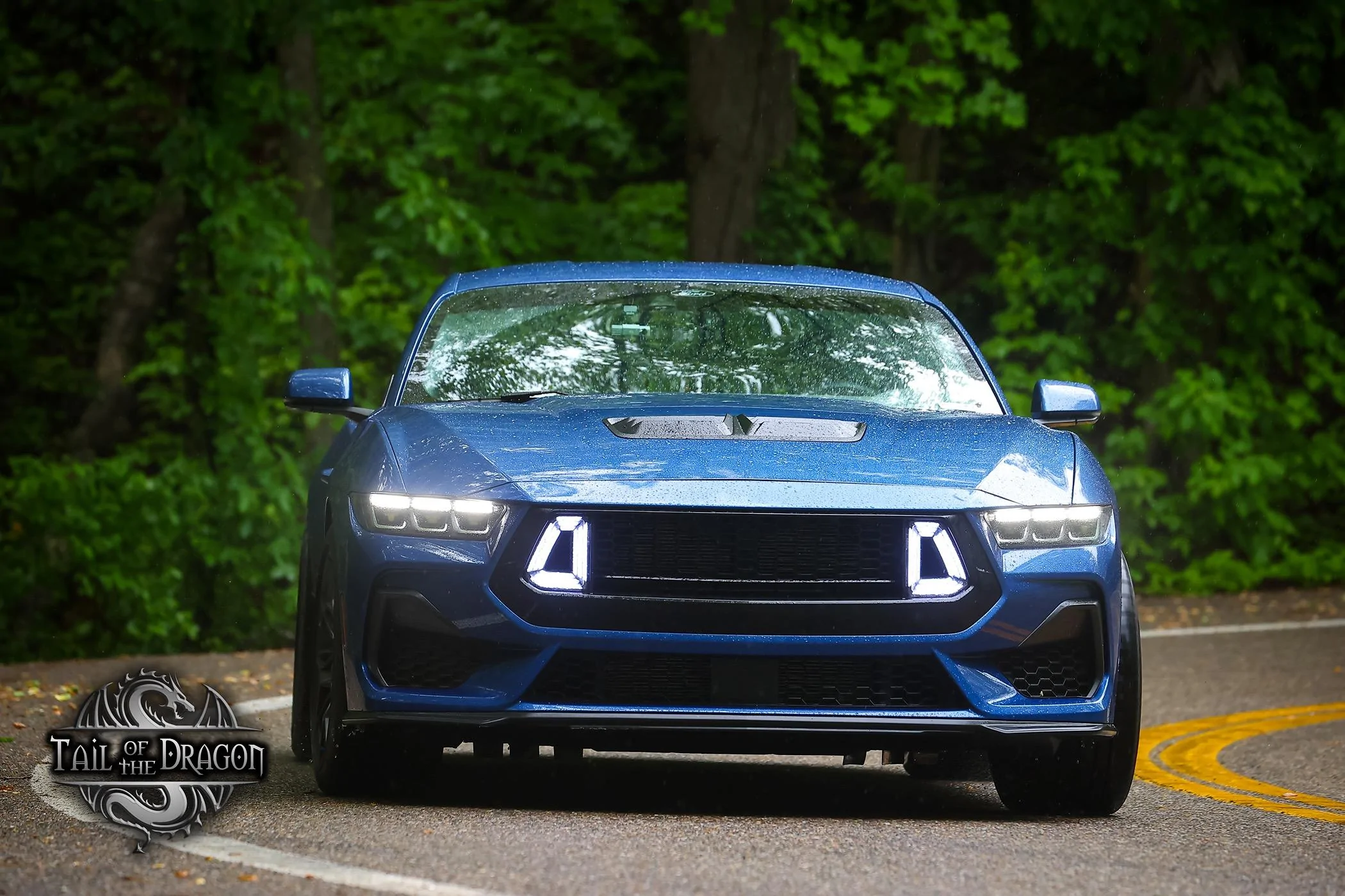 S650 Mustang Tail of the Dragon w/ 2024 Mustang GT 4451502