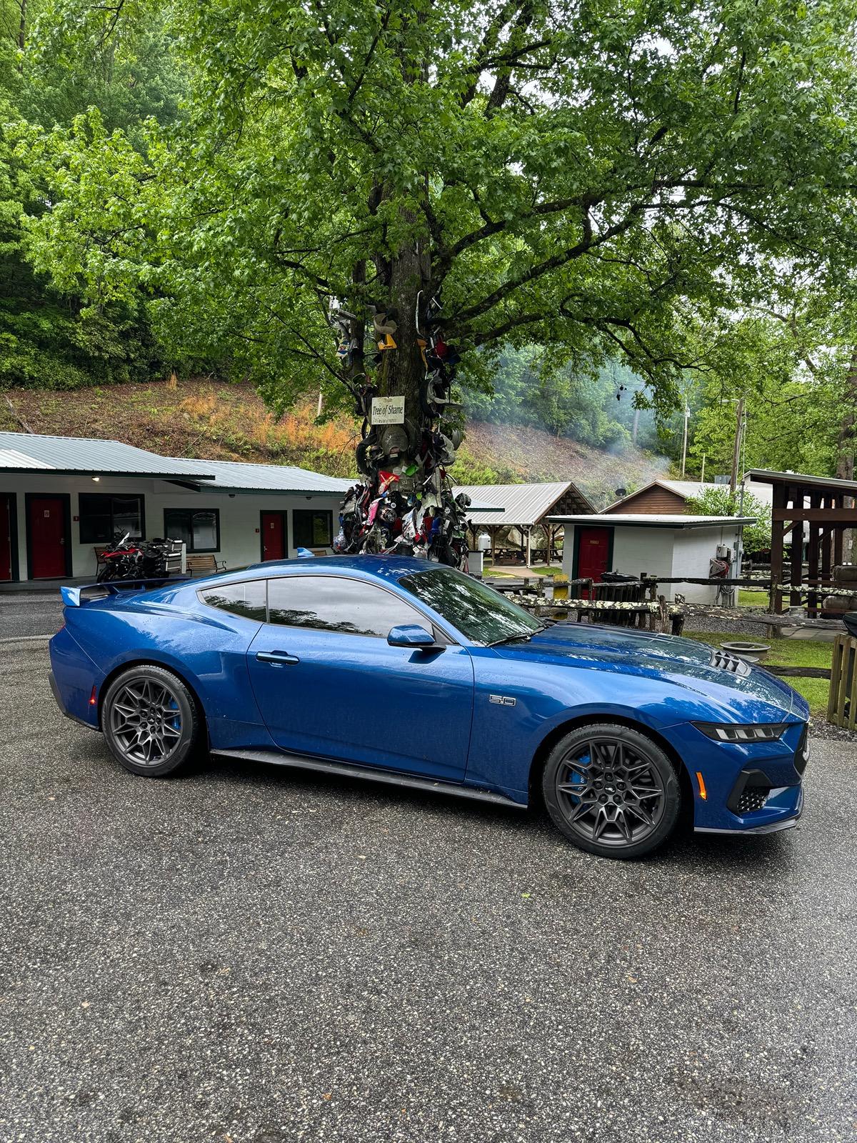 S650 Mustang Tail of the Dragon w/ 2024 Mustang GT IMG_6217