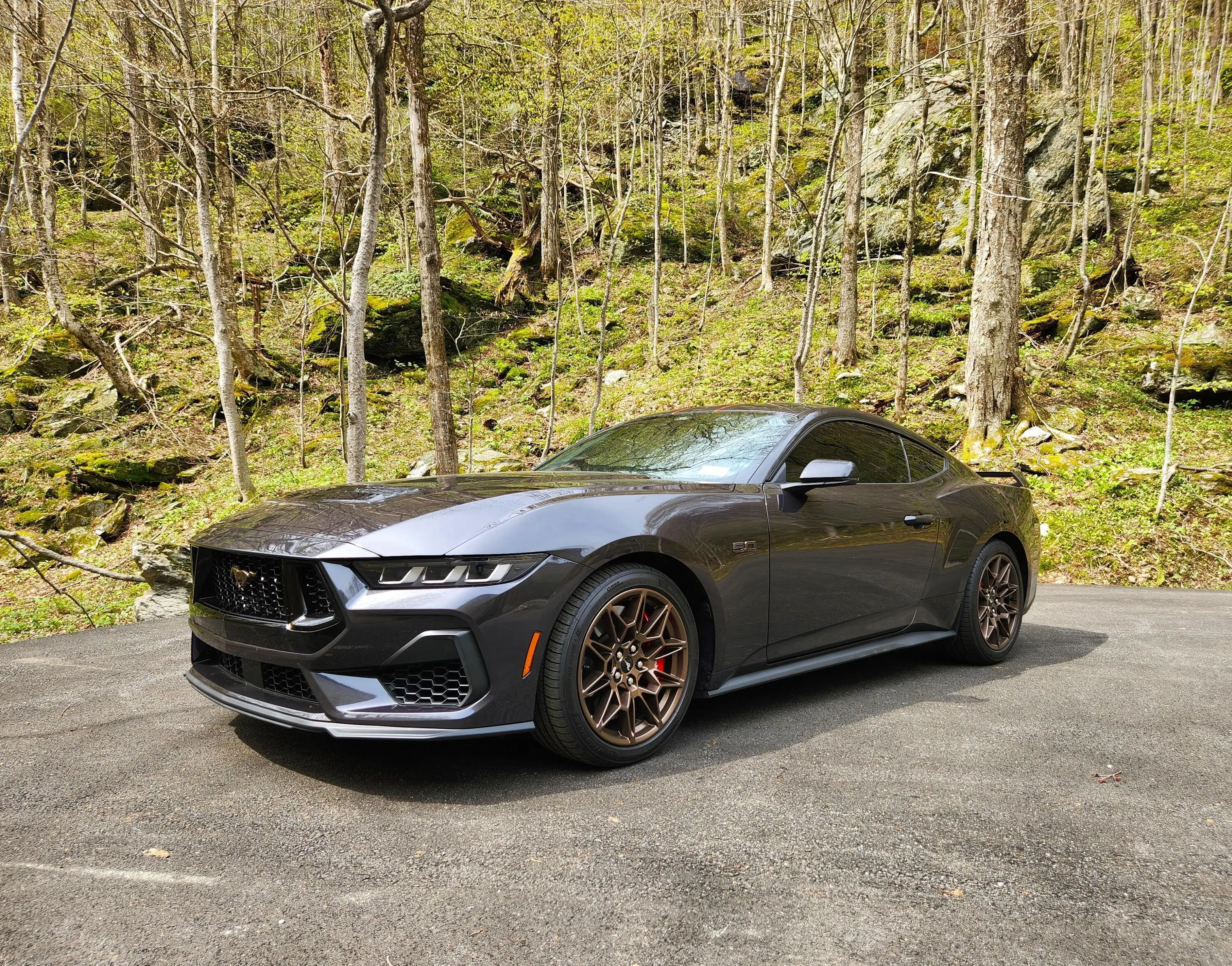 S650 Mustang Official DARK MATTER GRAY Mustang S650 Thread rdF1n9a