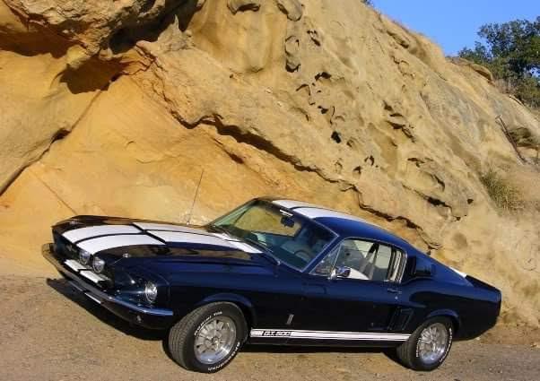 S650 Mustang Dark Horse vs Shelby 508