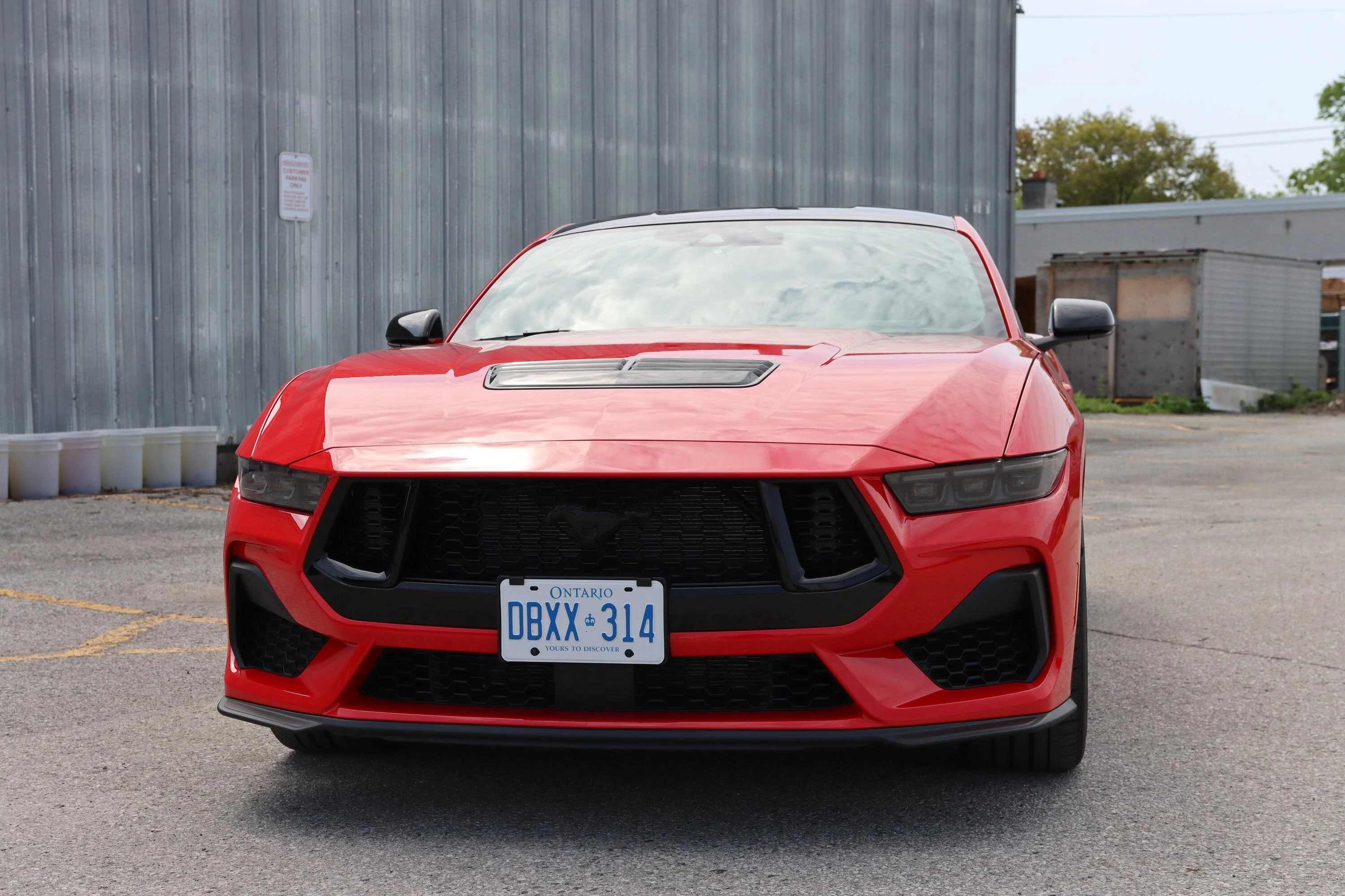 S650 Mustang Beautiful Weather here in Toronto for our Long Weekend IMG_0170