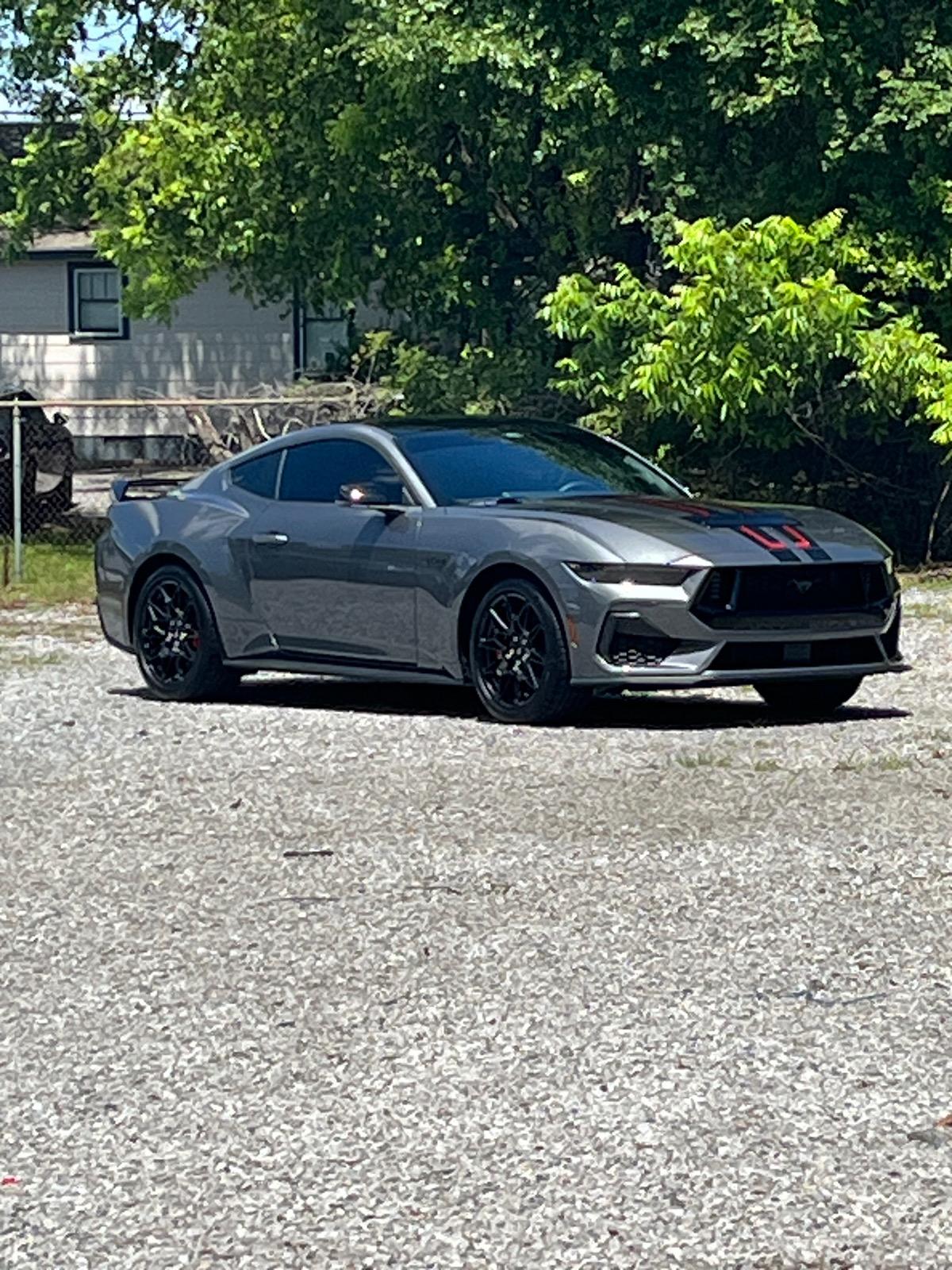 S650 Mustang Official CARBONIZED GRAY Mustang S650 Thread IMG_9949