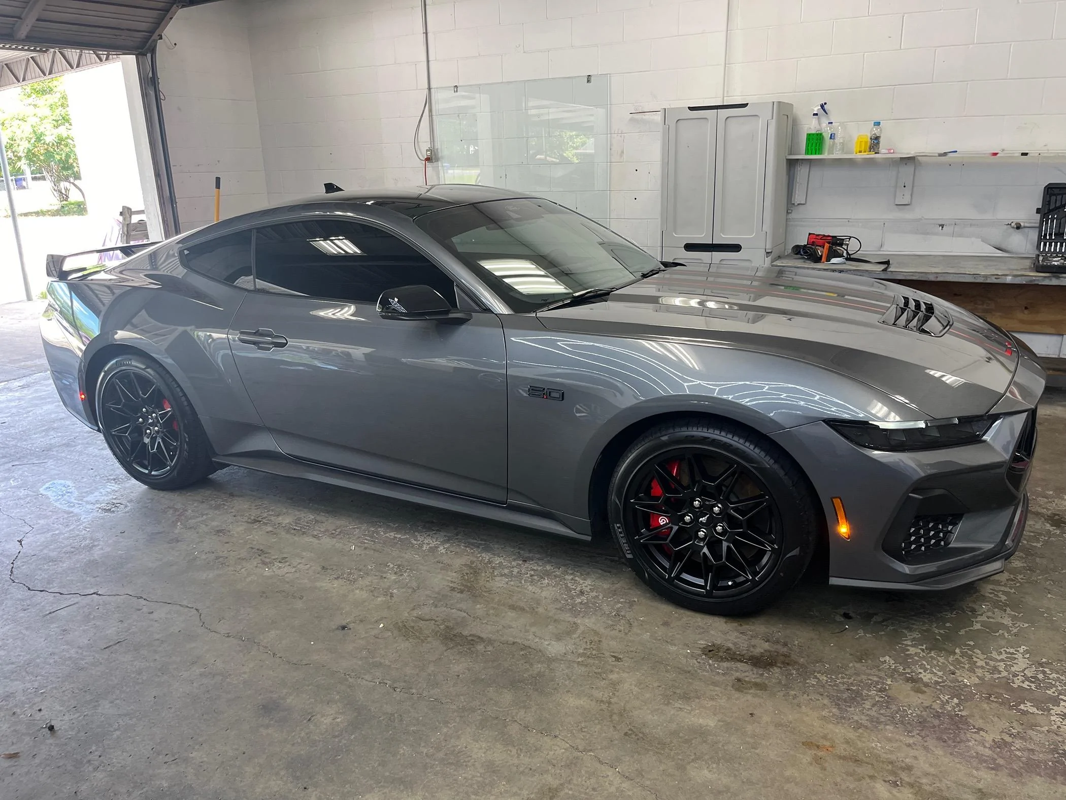 S650 Mustang Official CARBONIZED GRAY Mustang S650 Thread IMG_9939