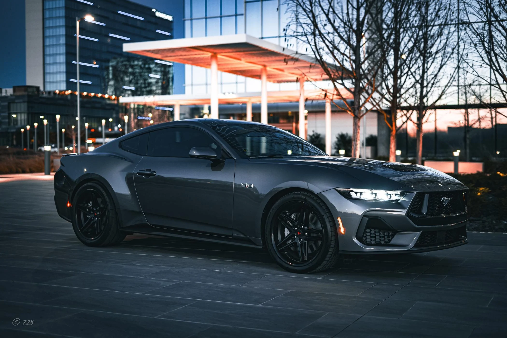 S650 Mustang Official CARBONIZED GRAY Mustang S650 Thread DSC00714