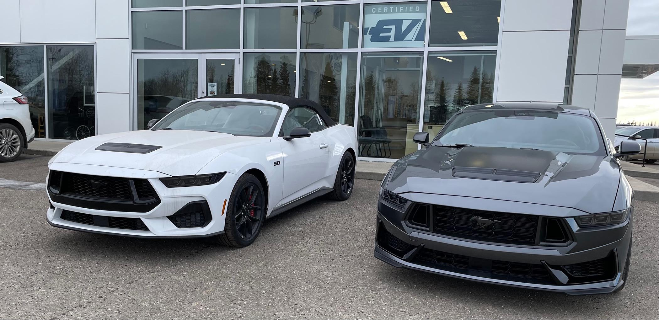S650 Mustang New Member 0B6D6F72-E8DA-4443-B143-CC216E8C23D9