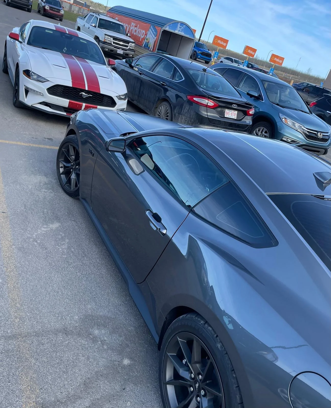 S650 Mustang New Member 600FAE8D-683D-49A3-B186-13F3BE6B0F17