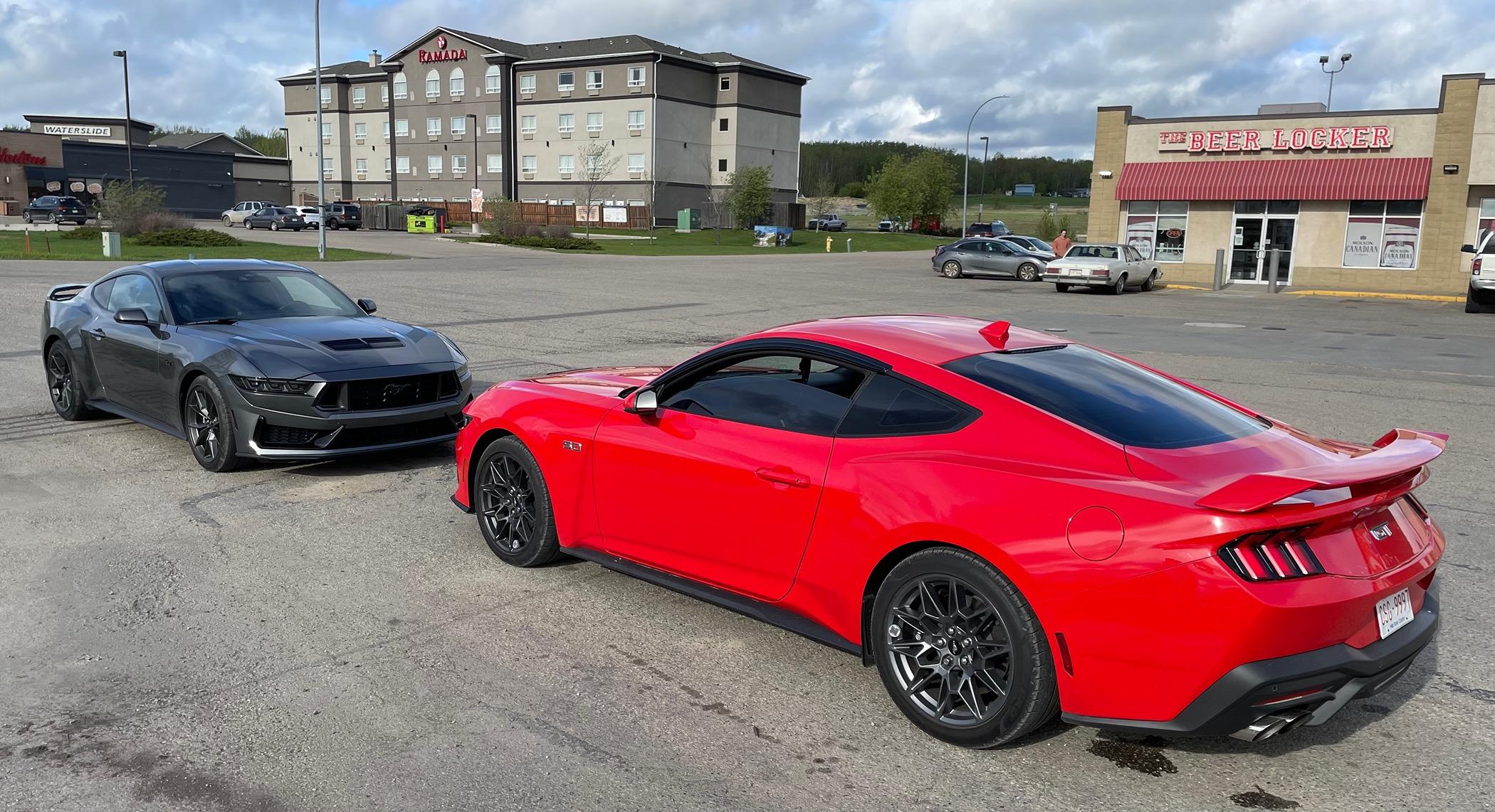 S650 Mustang New Member 9CCDD62B-0A14-4B1F-A817-4E32DA5B755A