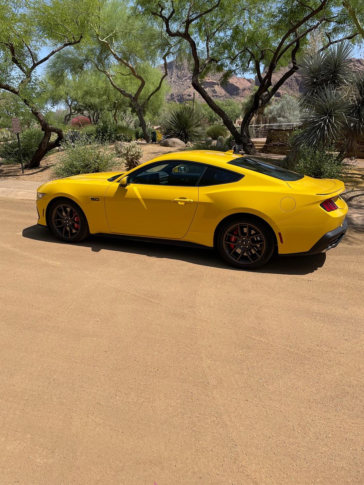 S650 Mustang Yellow Splash Metallic ? IMG_3489