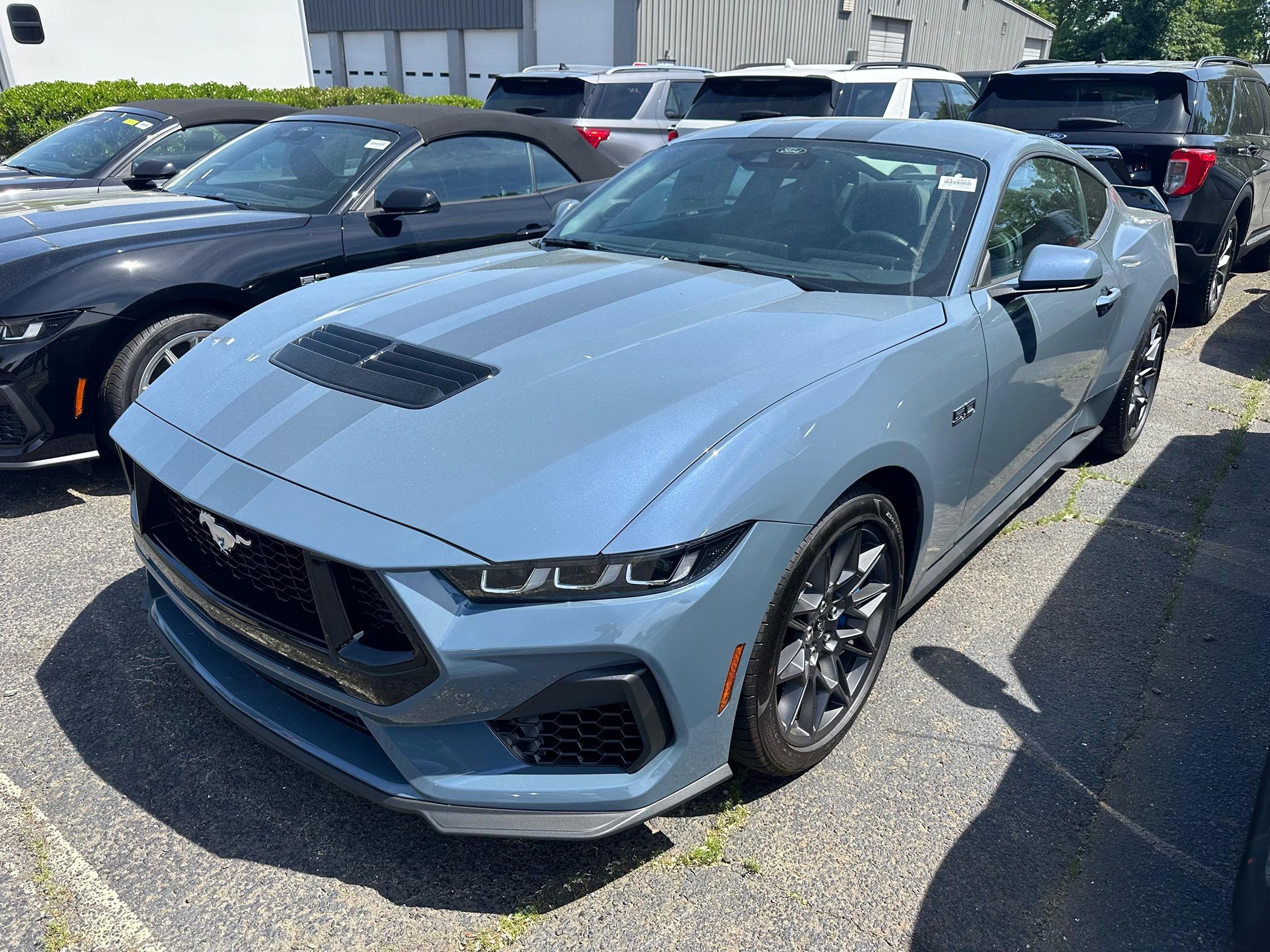 S650 Mustang If only I had $$$ IMG_3263