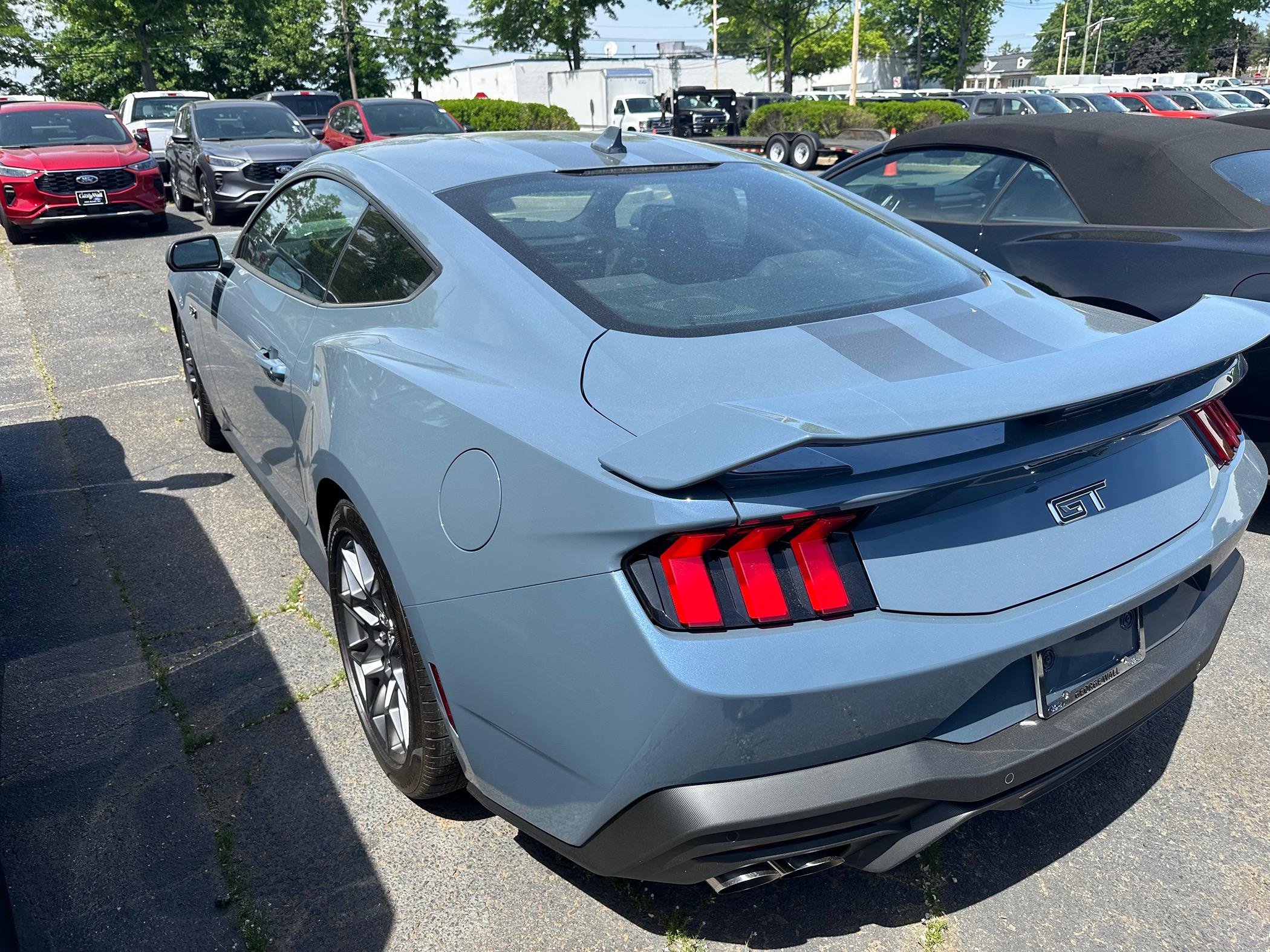 S650 Mustang If only I had $$$ IMG_3264