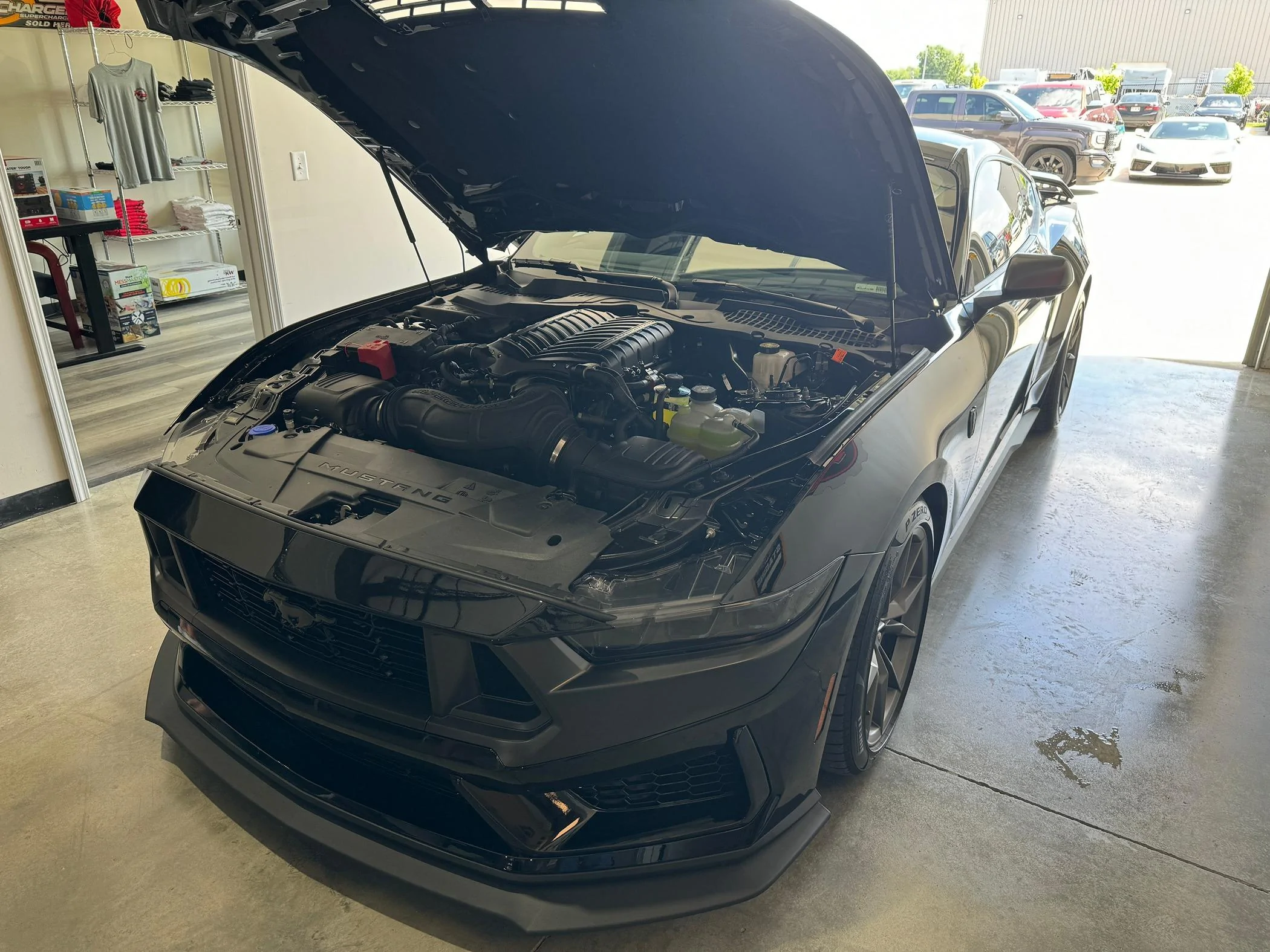 S650 Mustang 6 speed Whippled Dark Horse fun/fast? IMG_6805