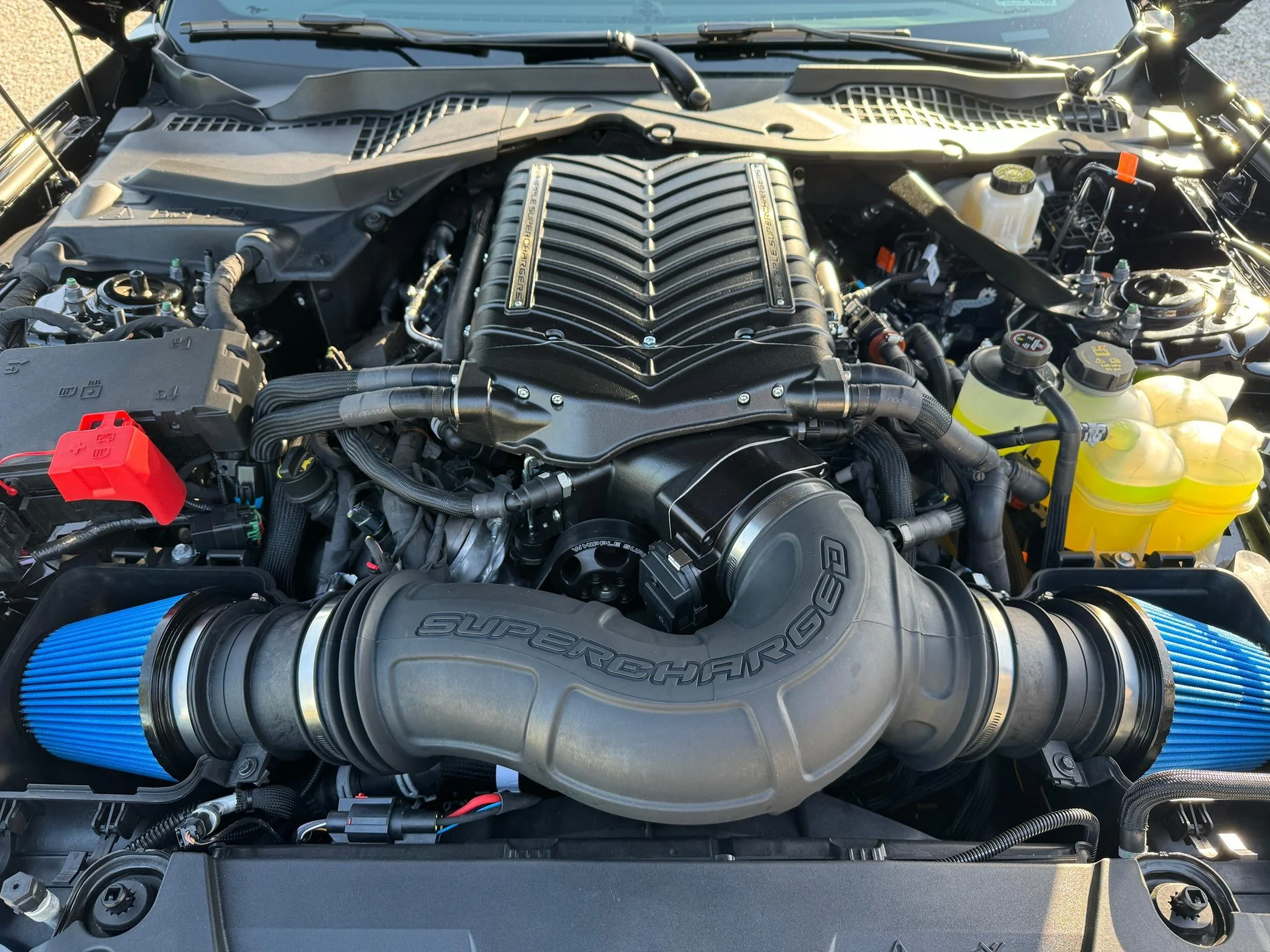 S650 Mustang 6 speed Whippled Dark Horse fun/fast? IMG_6817