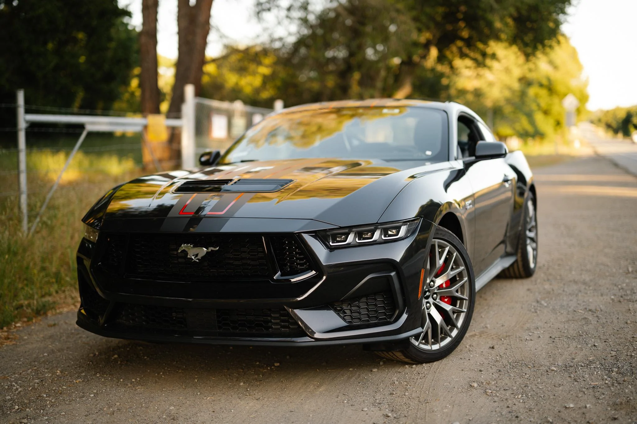S650 Mustang Introductions & Welcome Thread 👋 DSC_0161