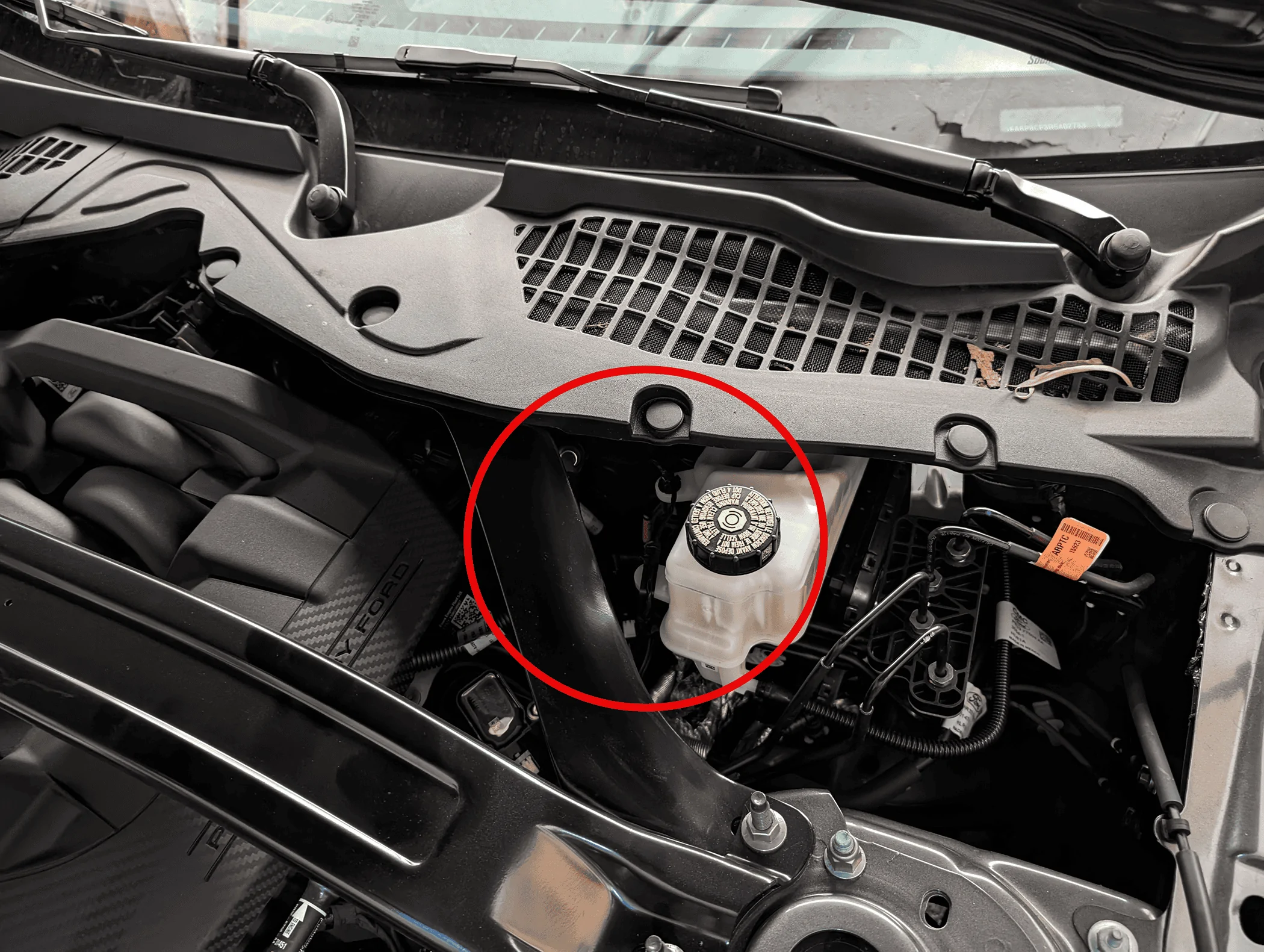 S650 Mustang Recall 24S36 - Leaking Hydraulic Clutch Pressure Line 1717694400442-7k