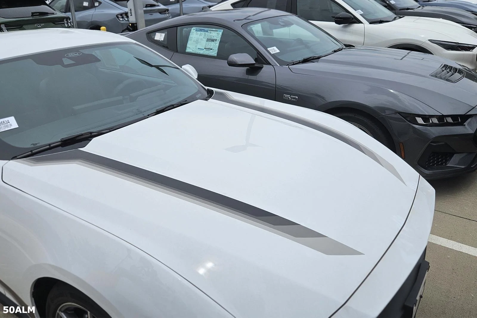 S650 Mustang An Aussie at Ford Dealer, Dallas TX 20240611_144834_1600