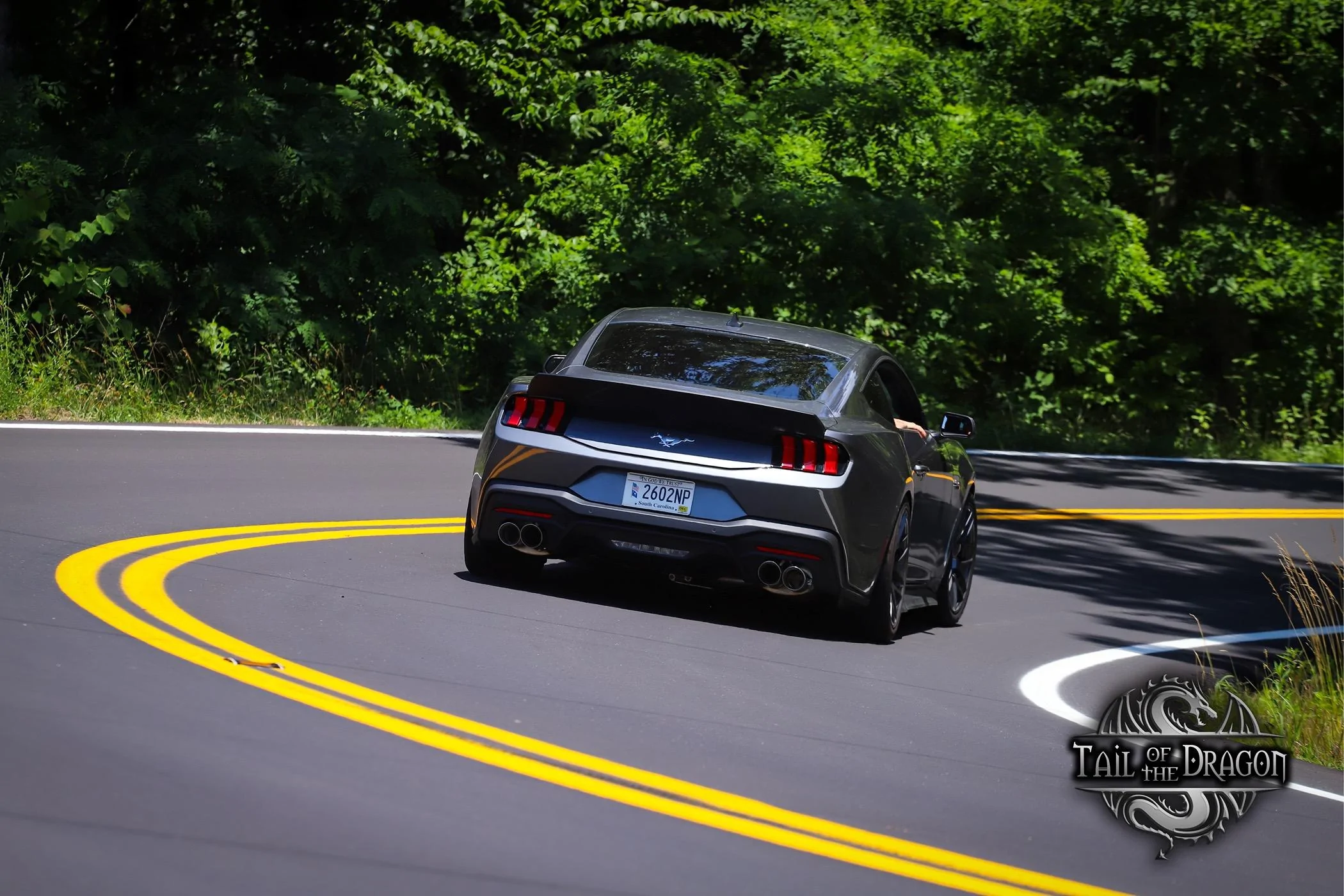 S650 Mustang JPGC_S650’s 2024 GT Build thread IMG_6363
