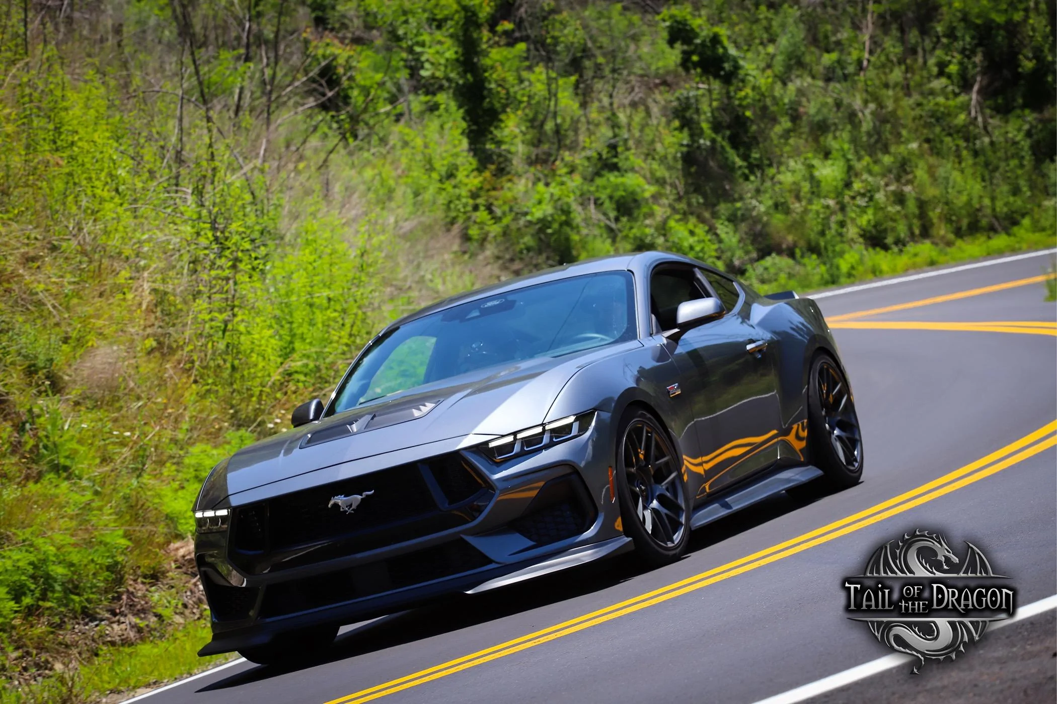 S650 Mustang JPGC_S650’s 2024 GT Build thread IMG_6362