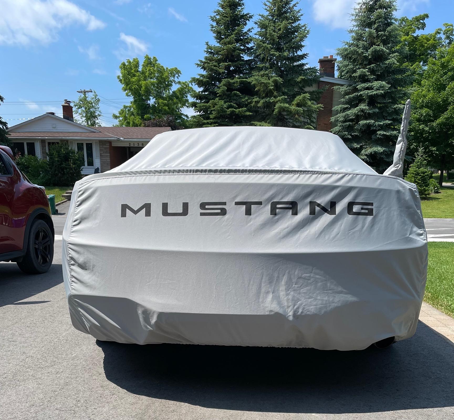 S650 Mustang Does S550 car cover fit S650? IMG_2044