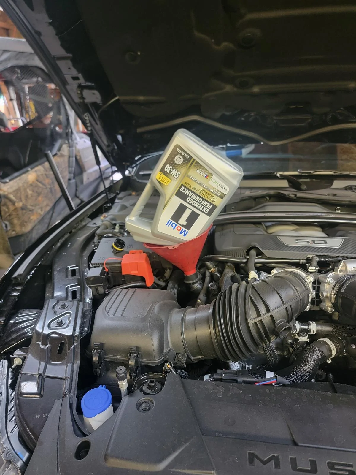 S650 Mustang First oil change...what a pain in the ass 😆 20240618_192503