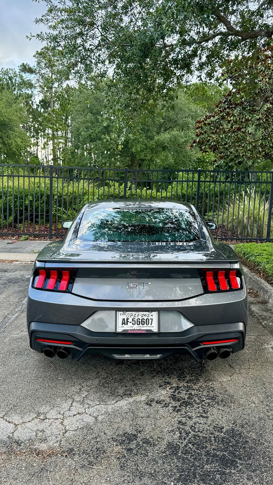 S650 Mustang Introductions & Welcome Thread 👋 IMG_7733
