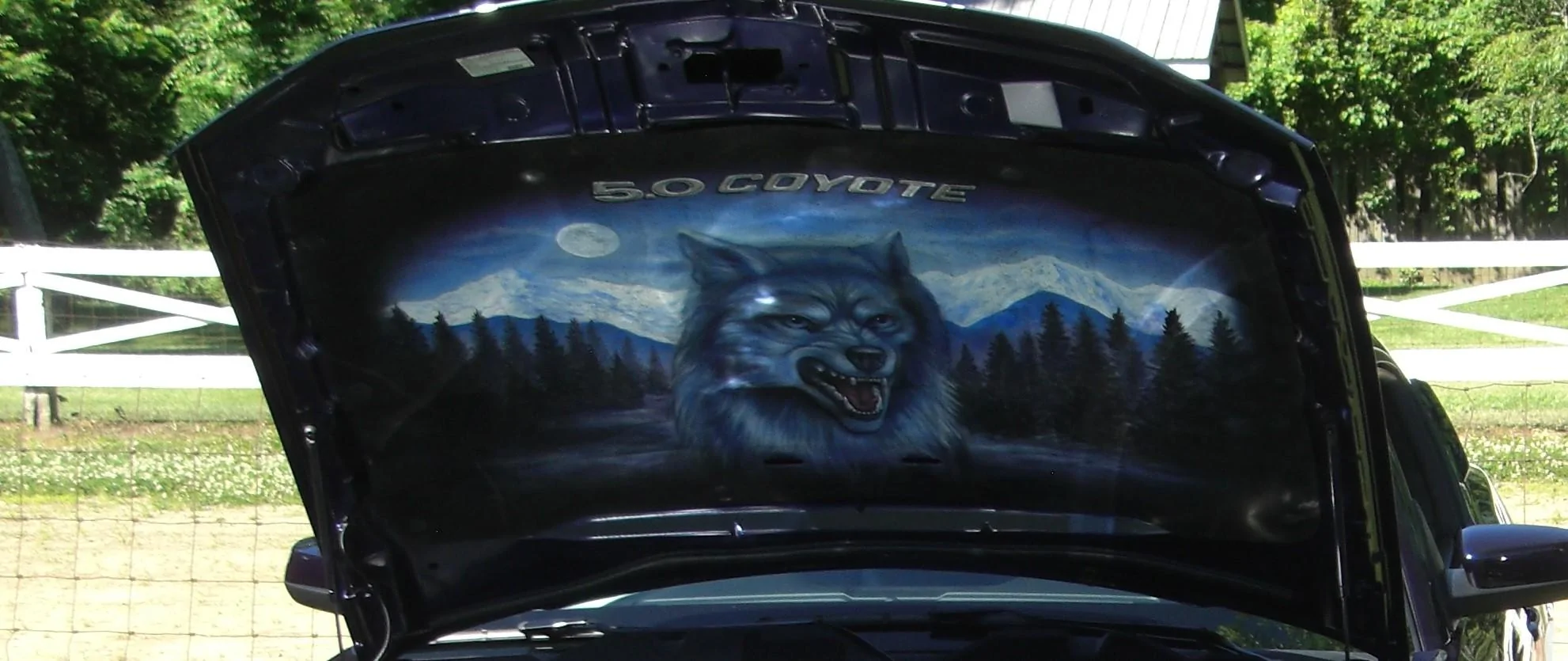 S650 Mustang All Ford Nationals = Double Win for my 2011 GT and 2024 Dark Horse! Kona Hood Pad