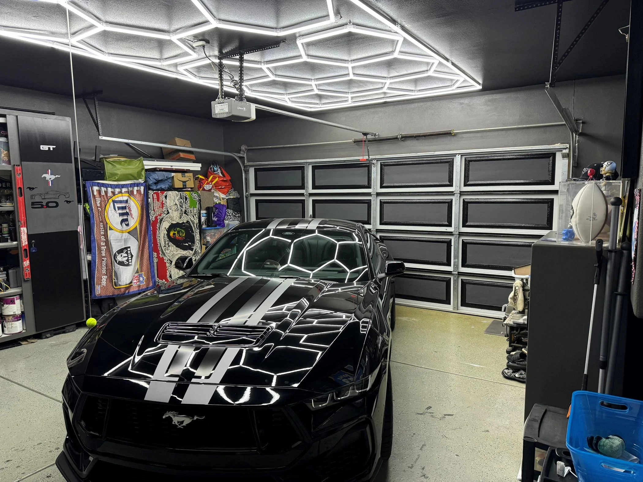 STANG.jpg