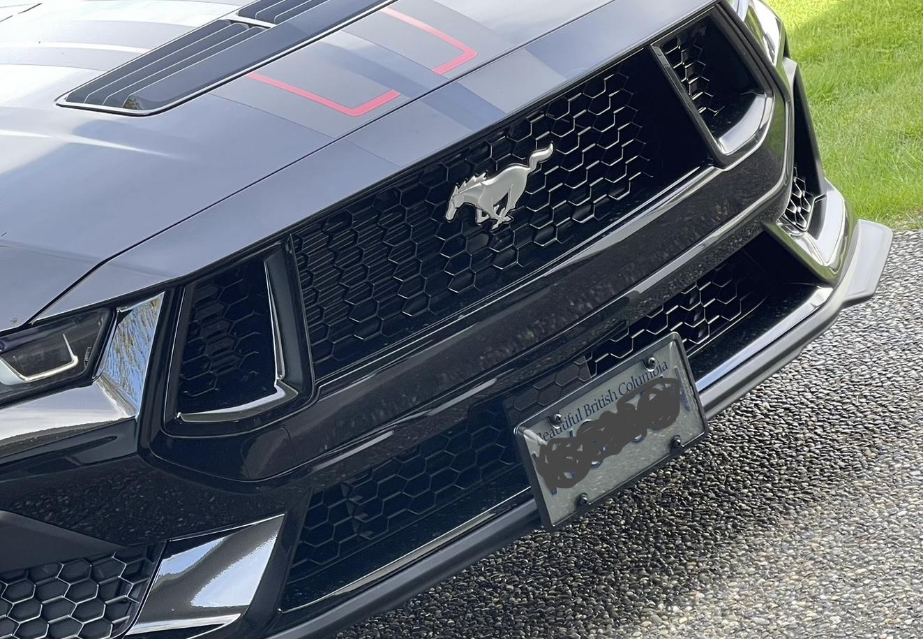 S650 Mustang Front License Plate Bracket recommendations? IMG_1967