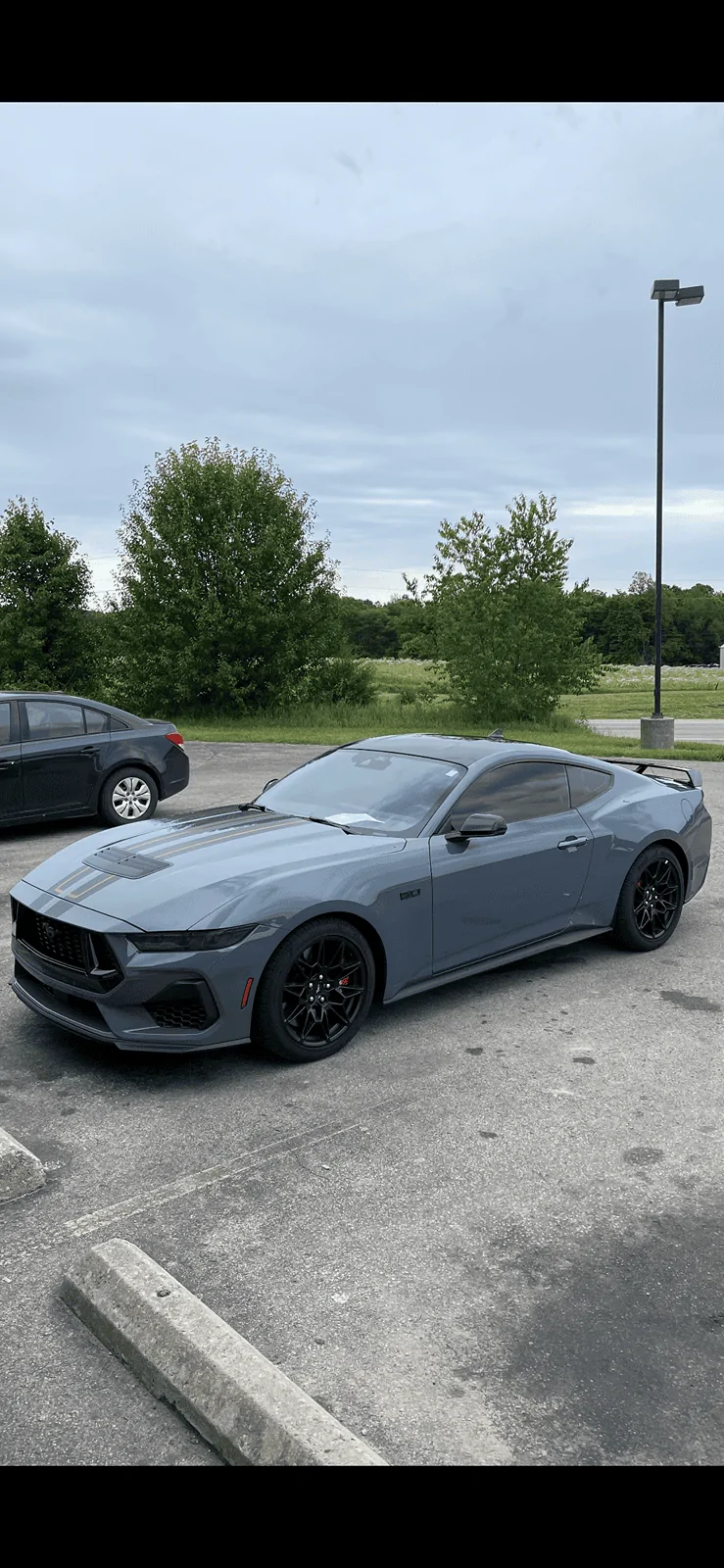 S650 Mustang Show off your stang! IMG_5926