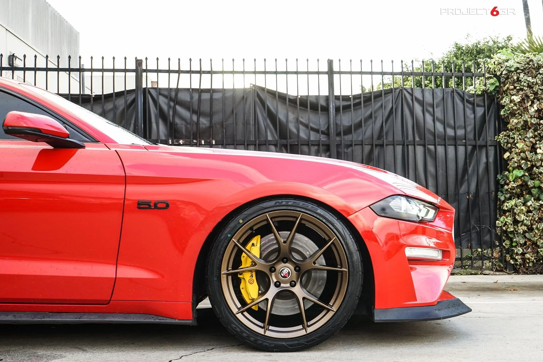 project-6gr-10-ten-red-mustang-bronze-wheels-02.webp