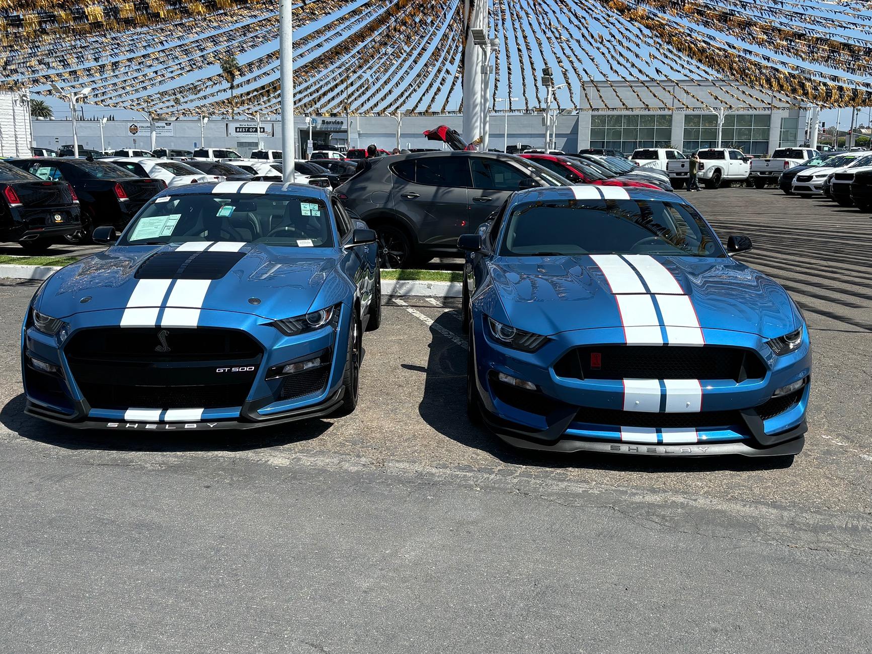 S650 Mustang Dark Horse vs Shelby IMG_2699